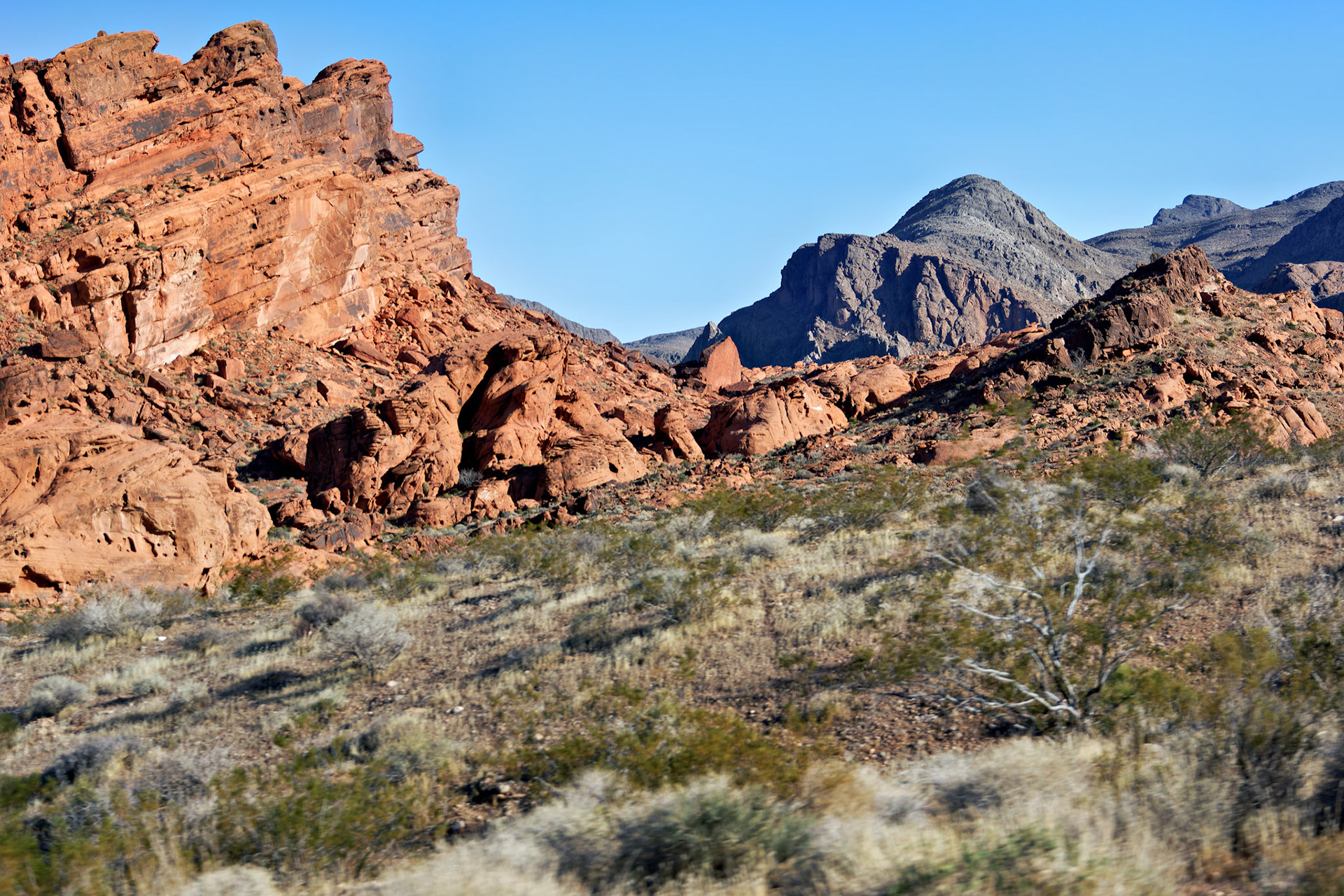 NV_Deserts_20120313_0257_PS.tif