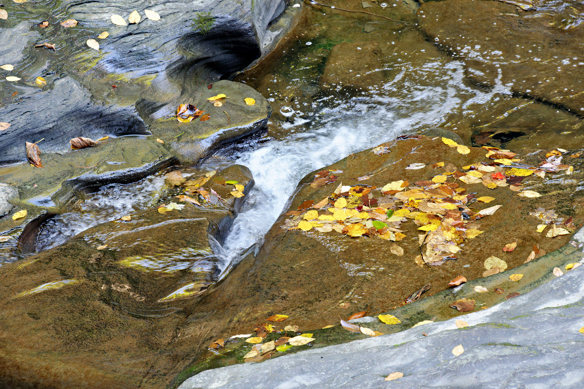 NY_FingerLakes_20120927_0154_PS.tif