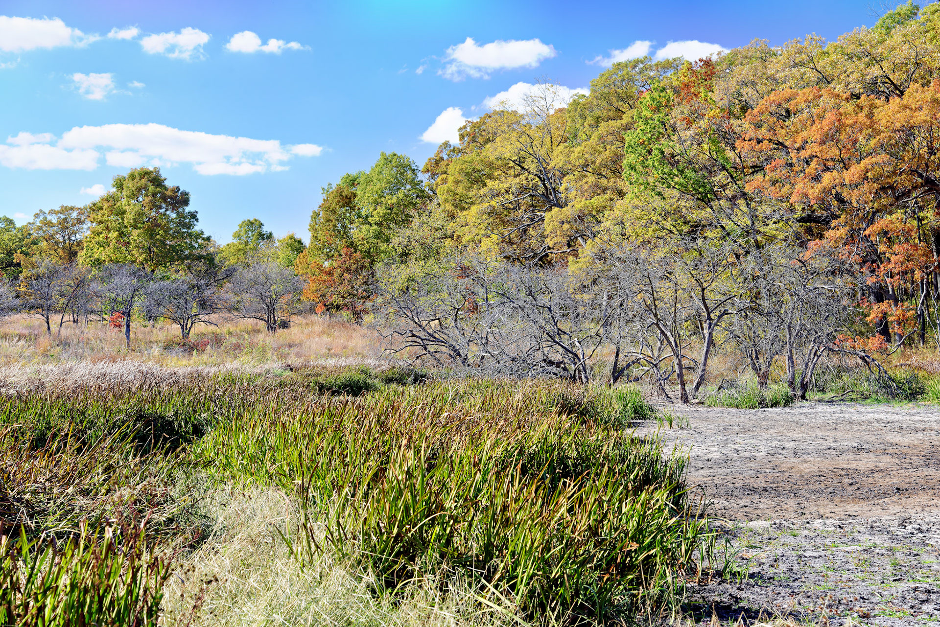 IL_Morton Arboretum_20121012_0579_PS