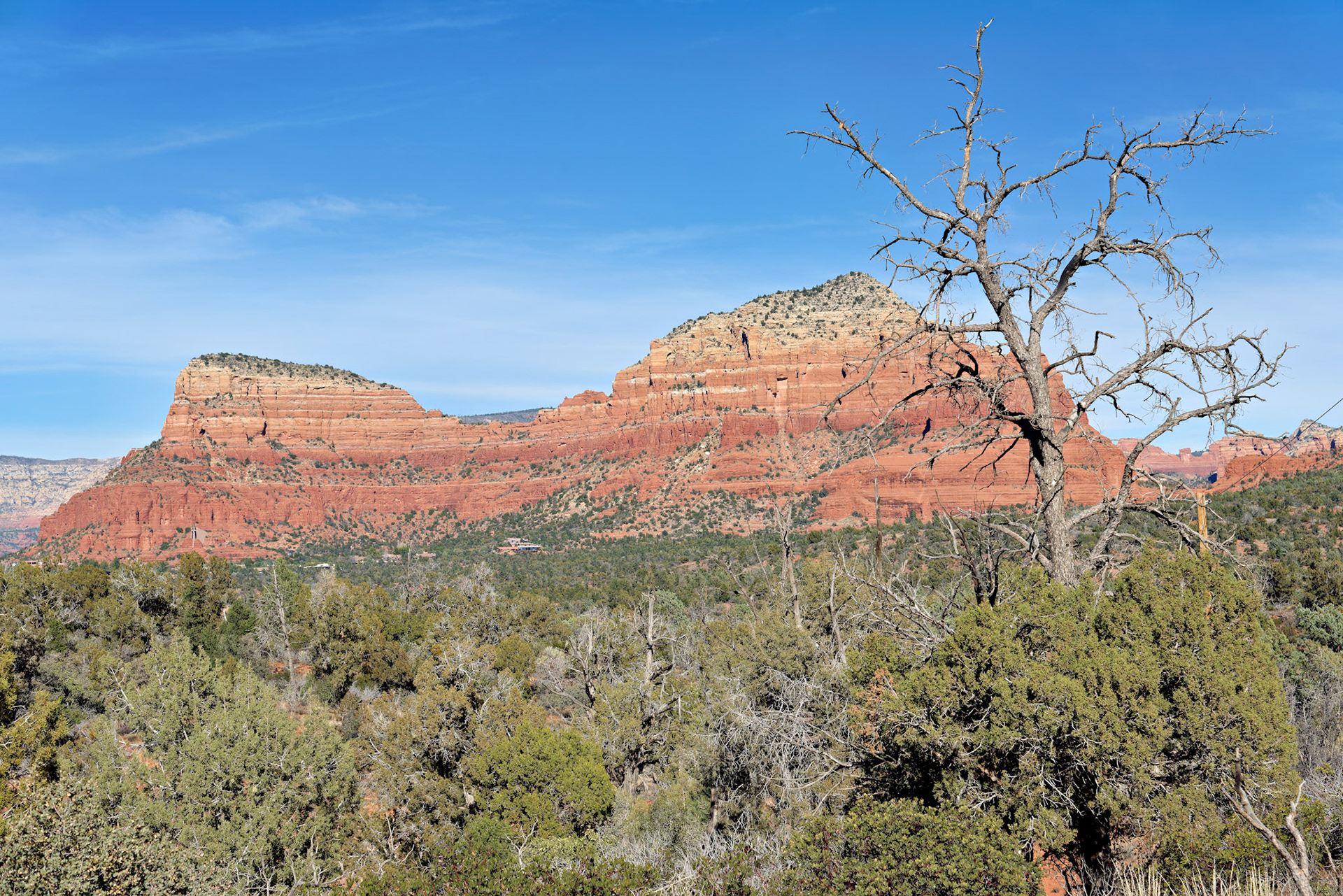 AZ_20121211_0472_PS