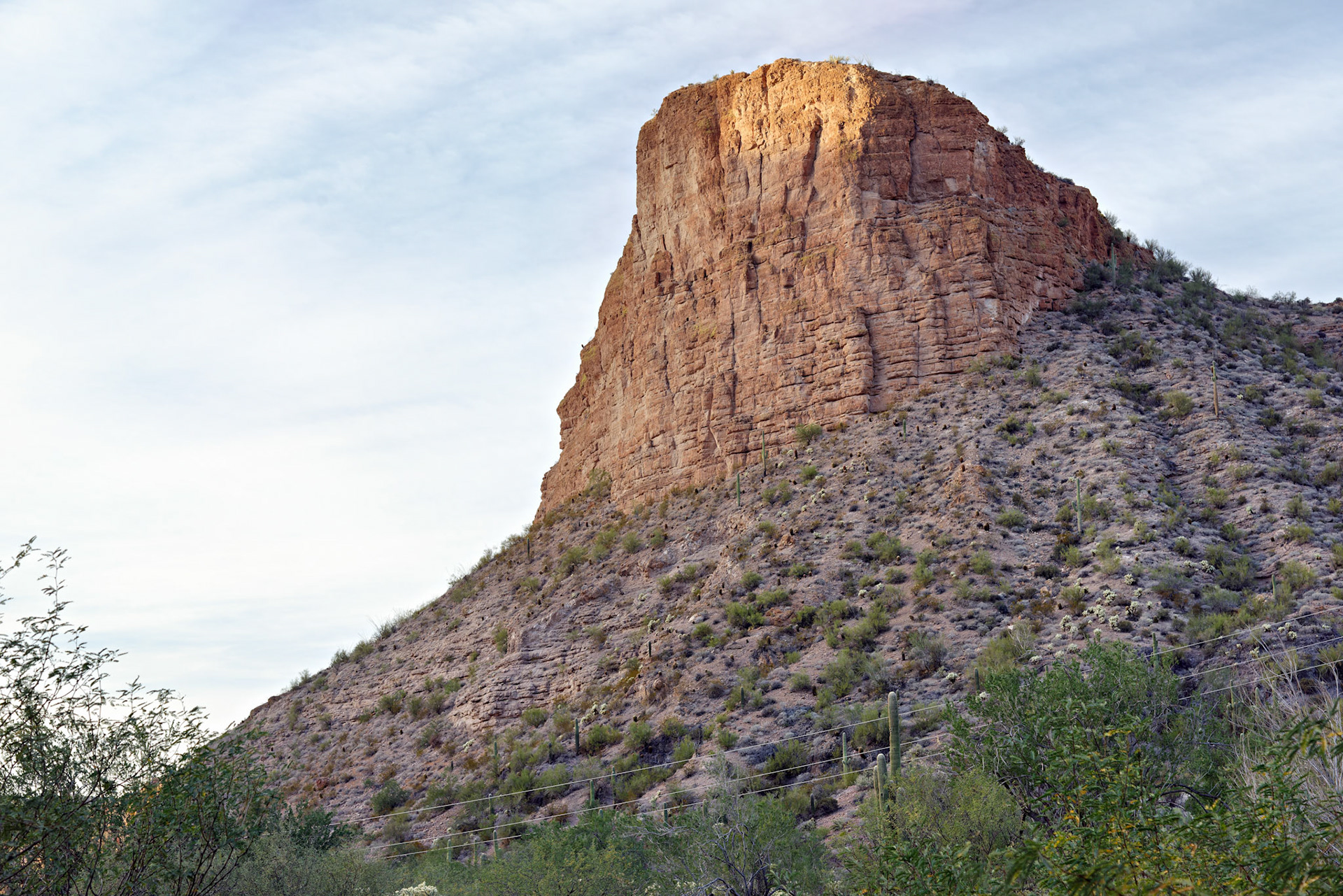 AZ_20121209_0204_PS.dng