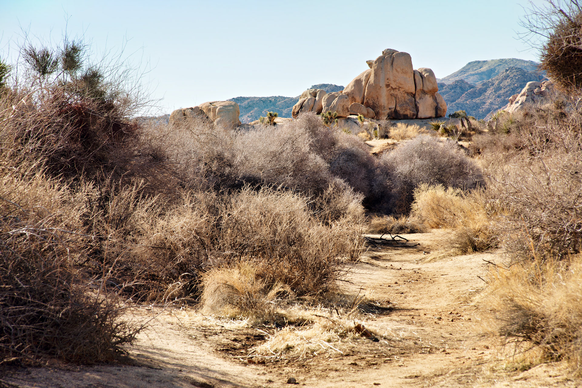 CA_PalmSprings_20090114_0174_PS