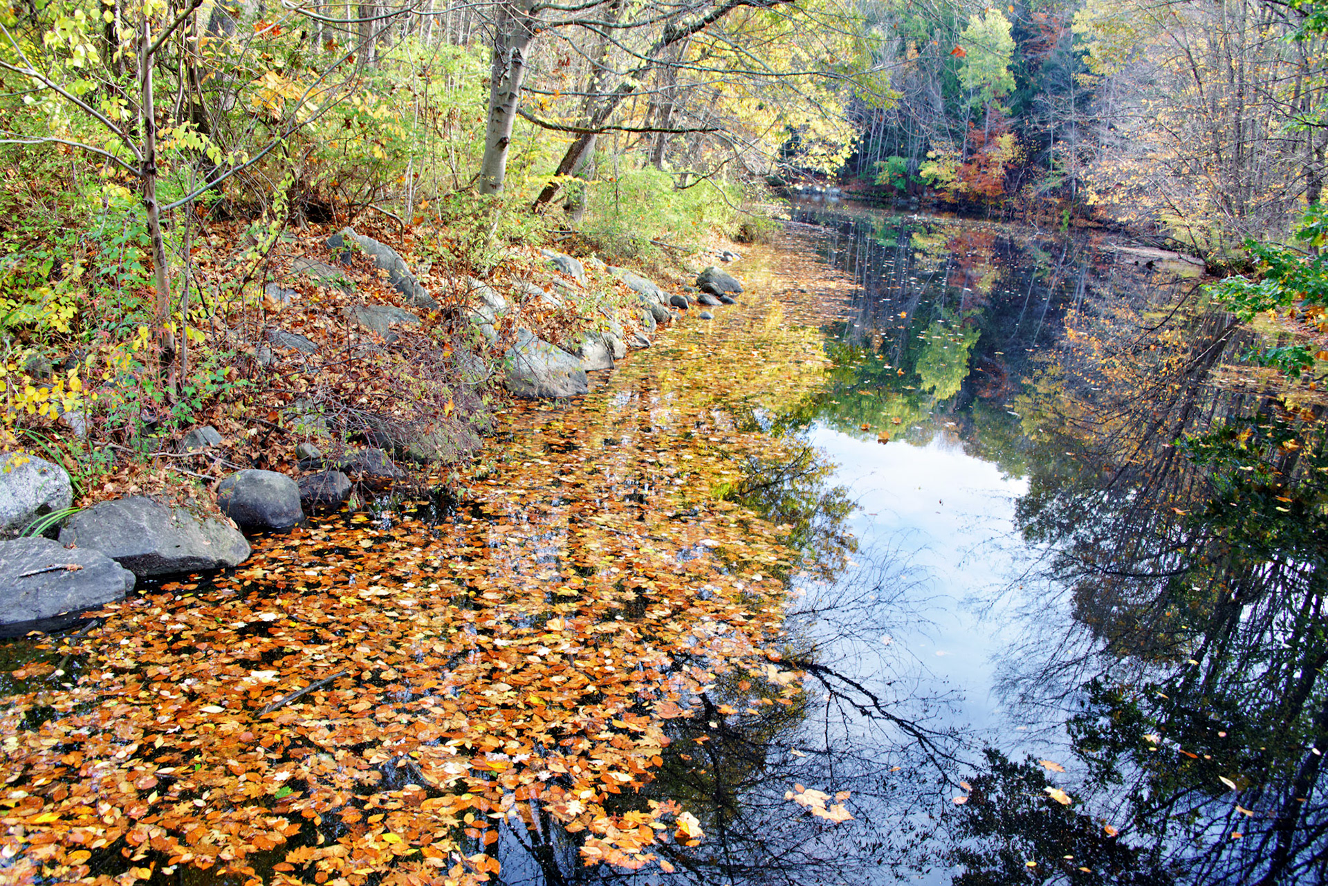 CT_20141019_0473_PS
