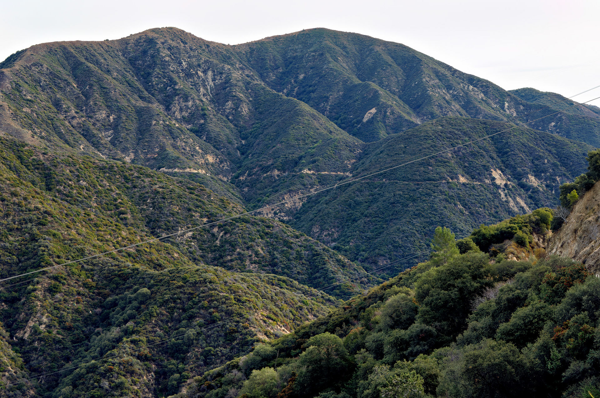 CA_LA_20051220_0214_PS