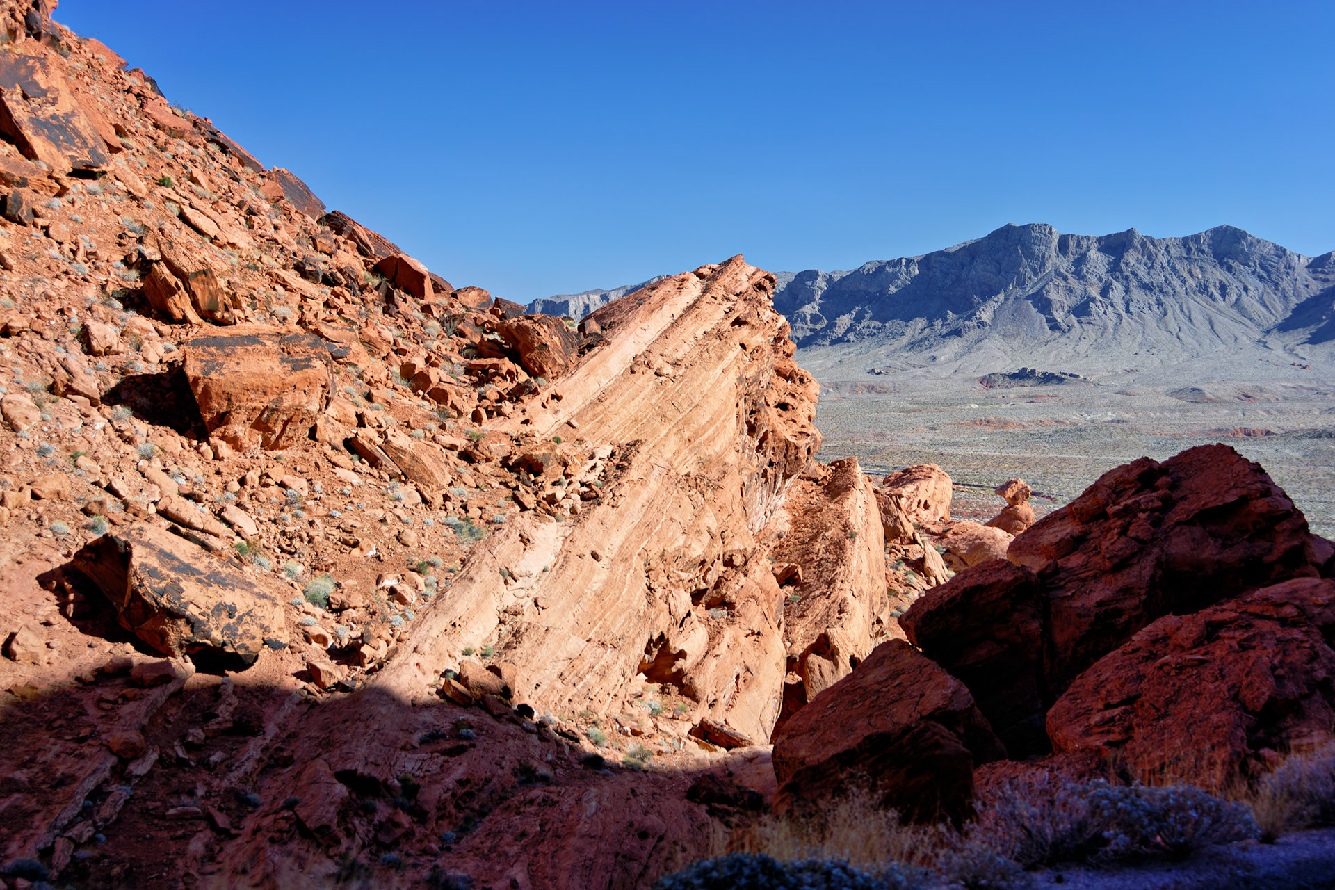 NV_Deserts_20120313_0203_PS.tif