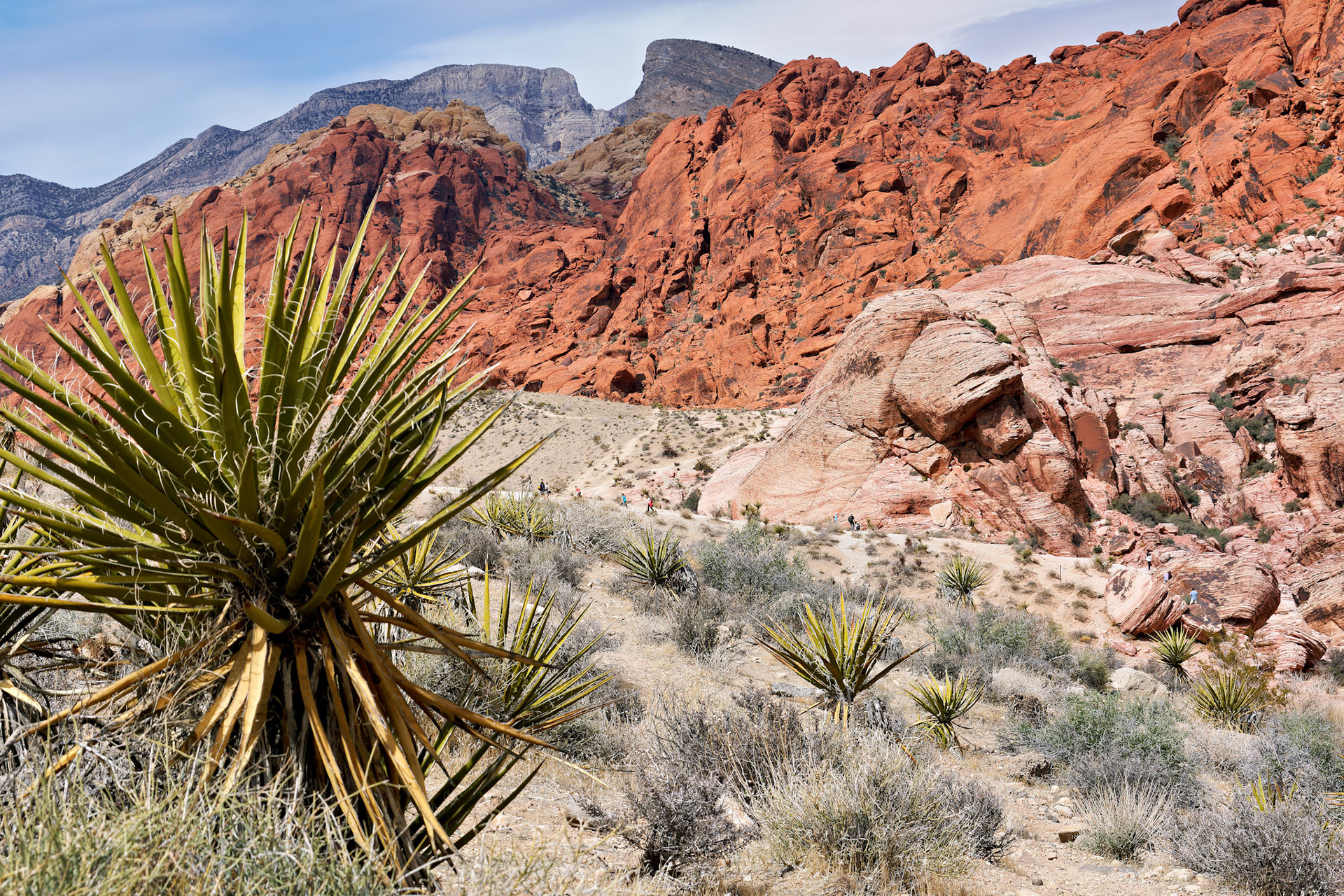 NV_Deserts_20120312_0034_PS.tif