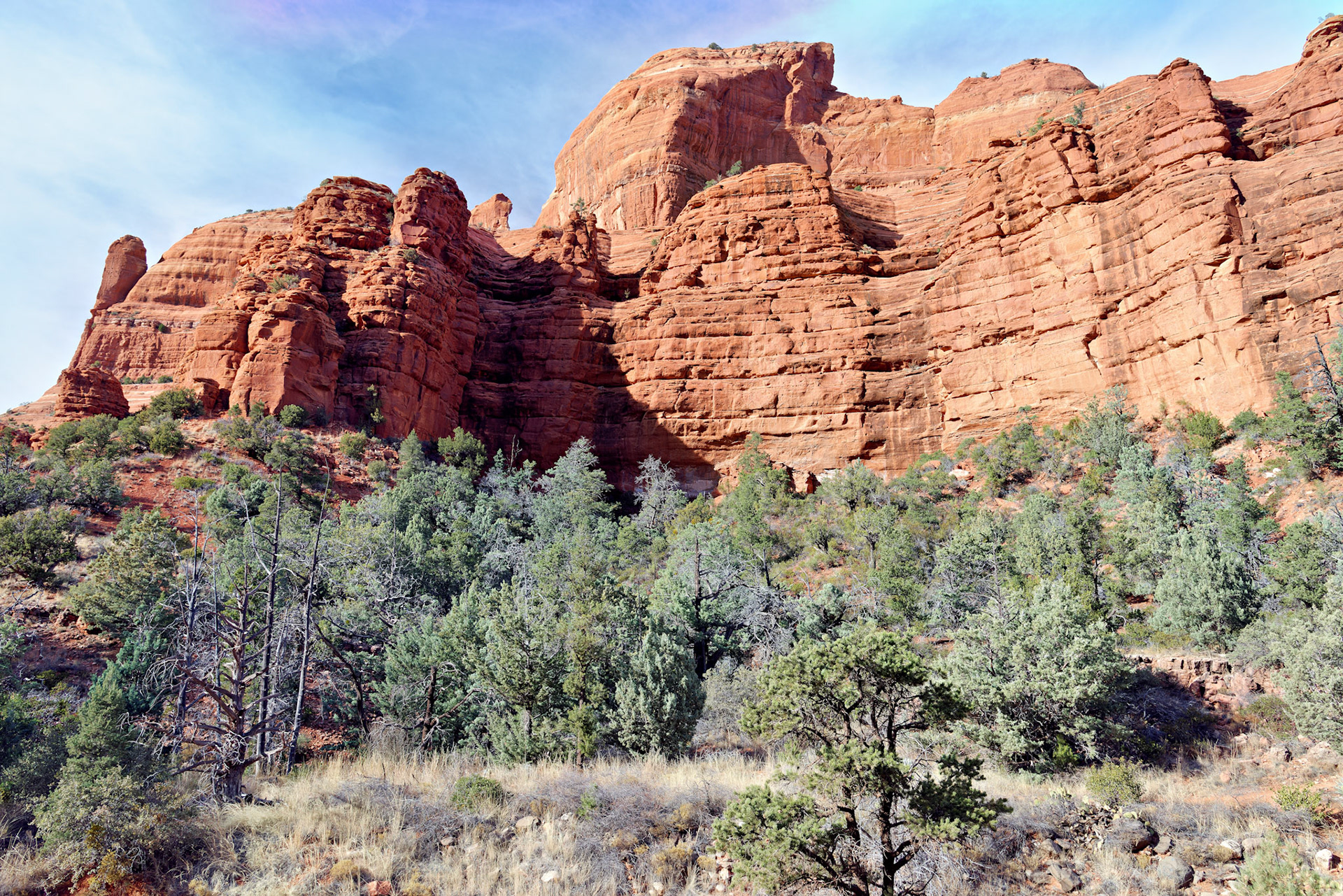 AZ_20121211_0498_PS