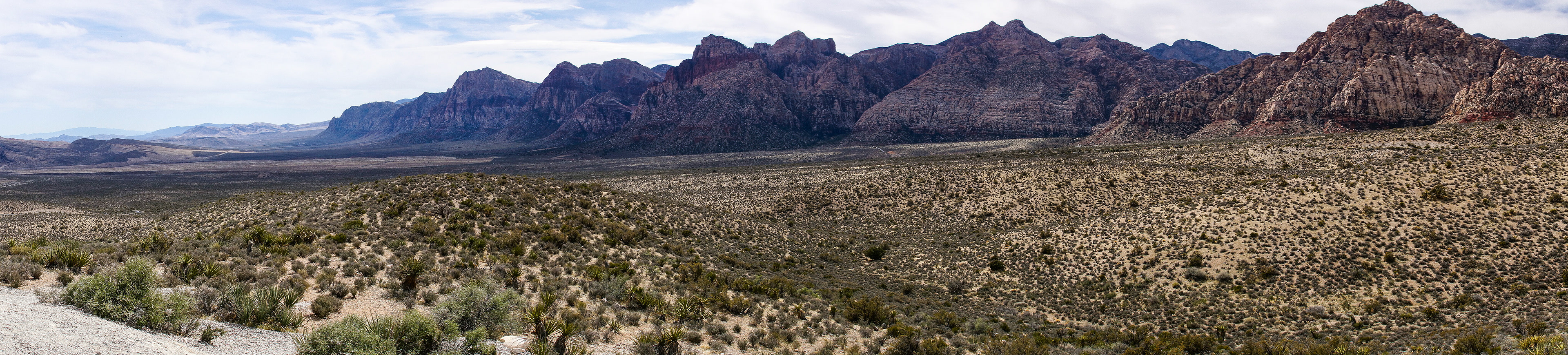 NV_Deserts_20120312_0076_PS