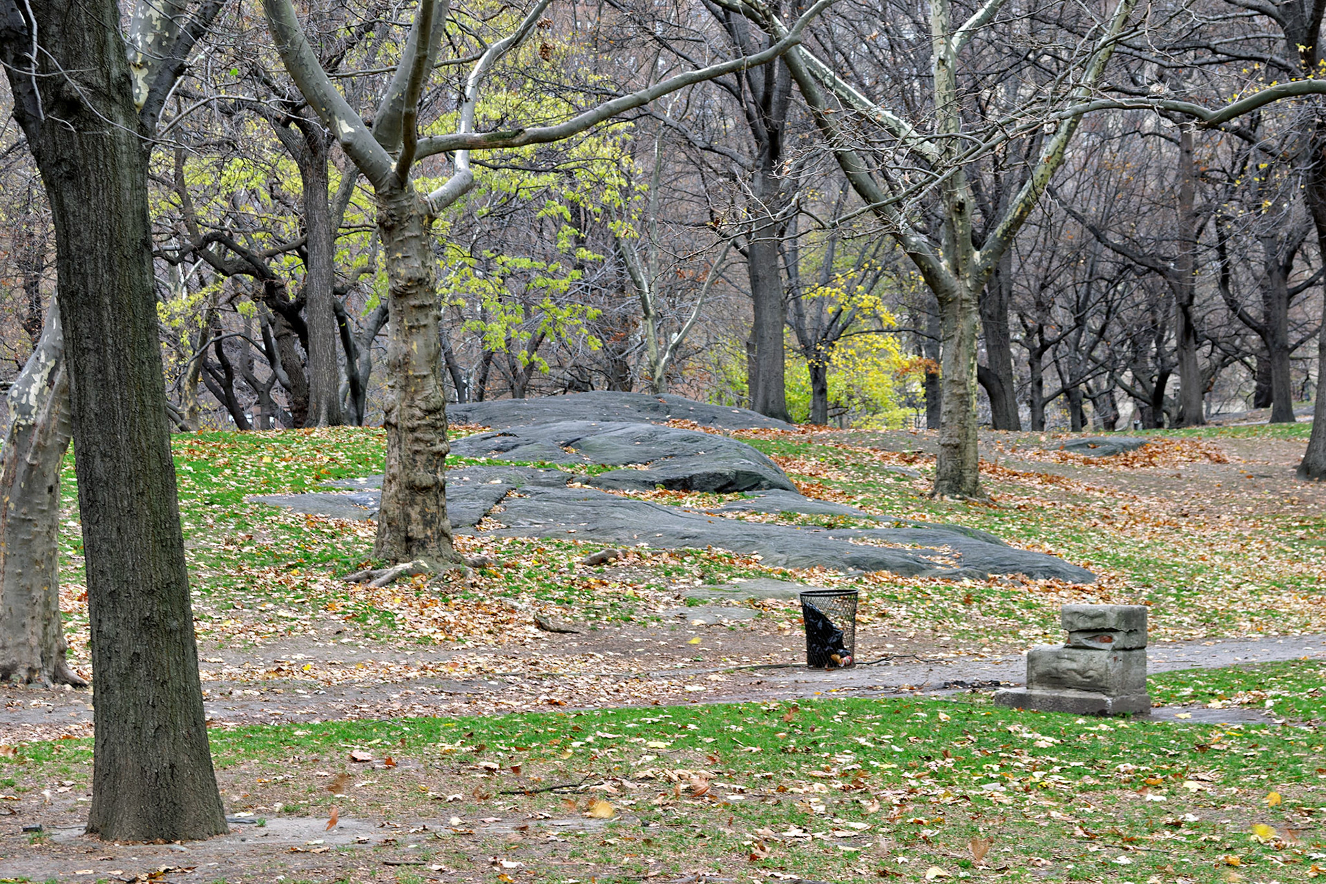 NY_City_20031129_0067_PS