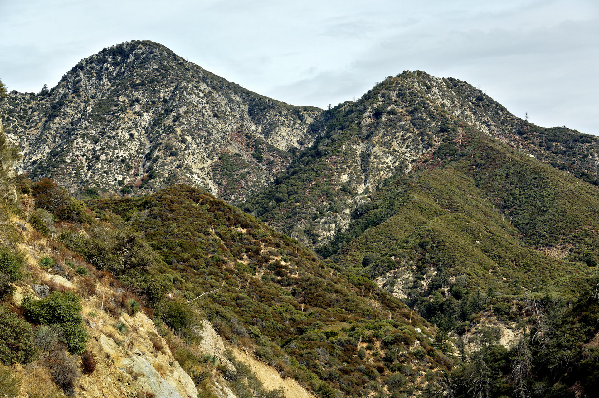 CA_LA_20051220_0259_PS