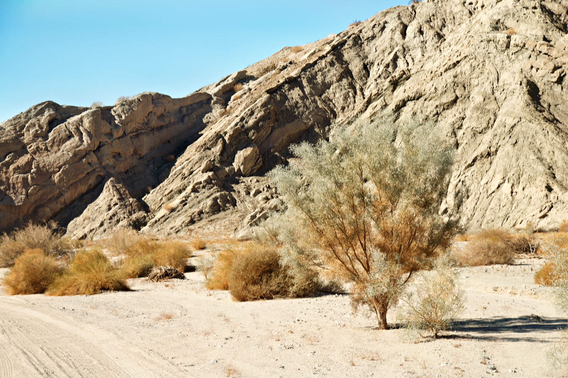 CA_PalmSprings_20111117_0531_PS