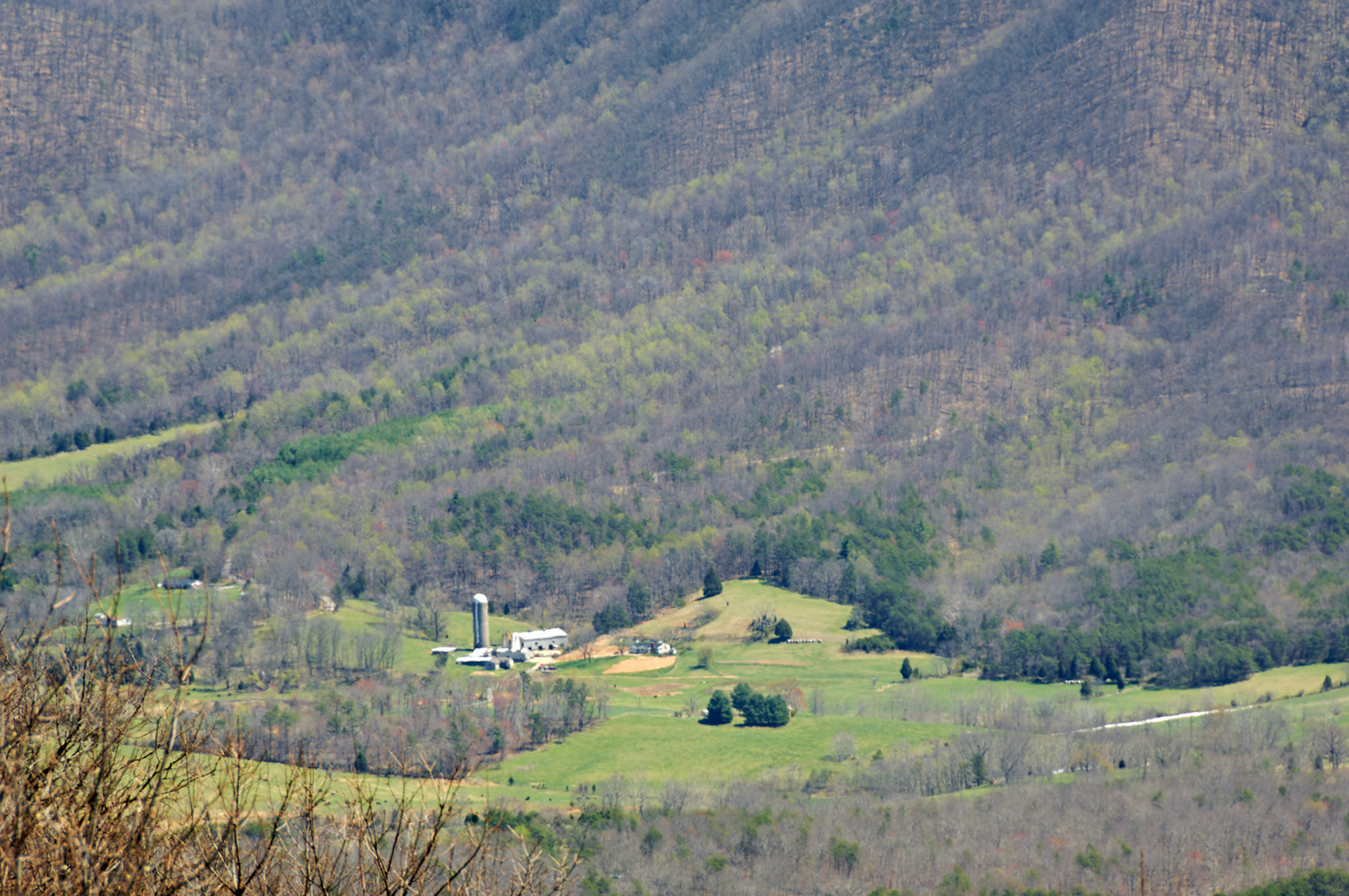 VA_BlueRidge_20060405_0082_PS