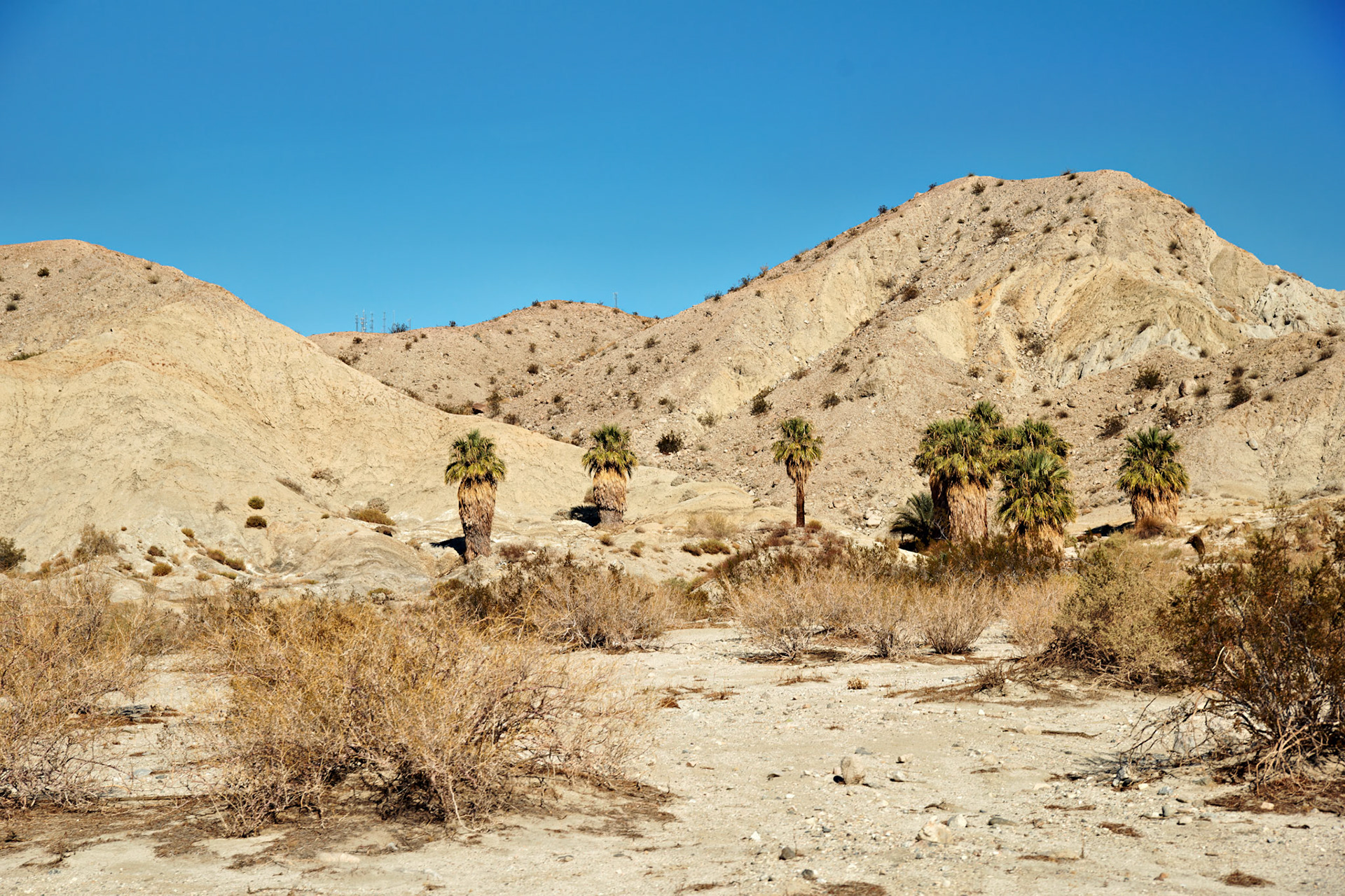 CA_PalmSprings_20111117_0509_PS