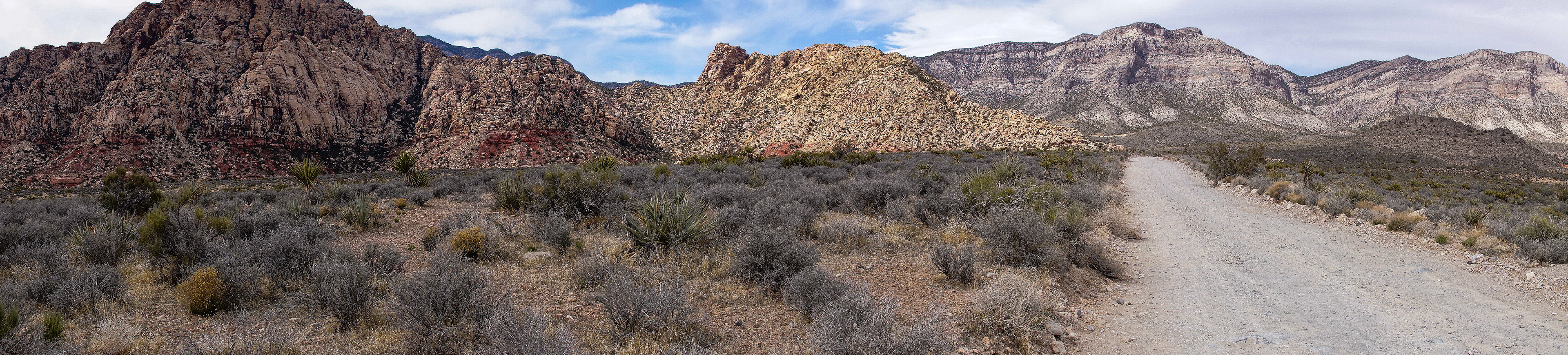 NV_Deserts_20120312_0082_PS