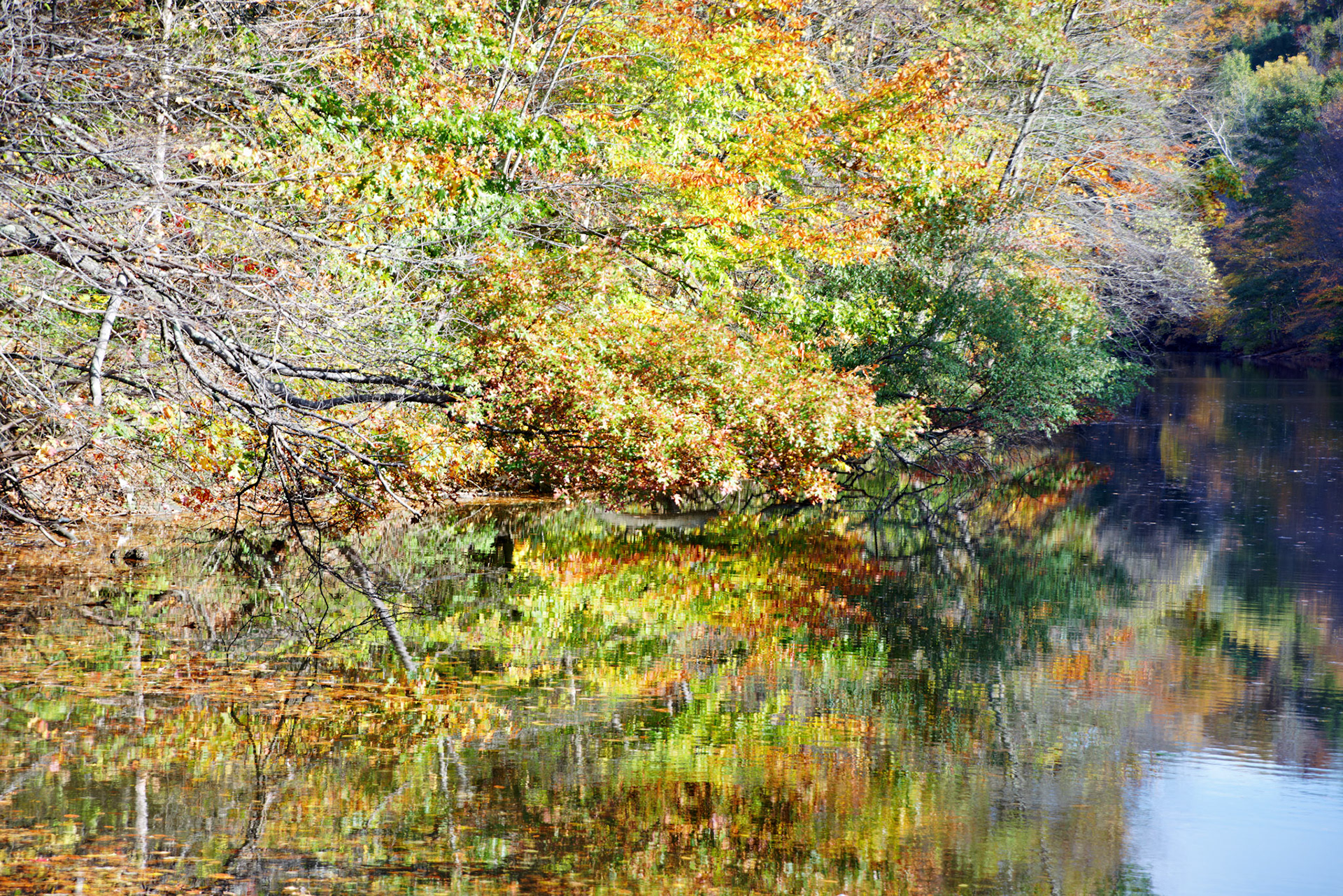 CT_20141019_0482_PS