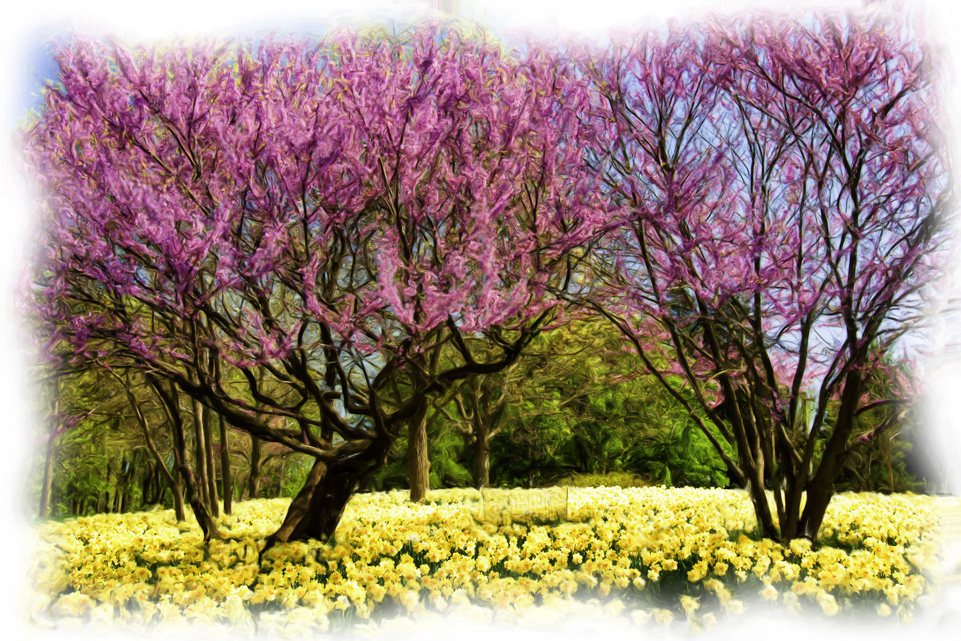 Painting__DSC4962-1_PaintingOilOpgDetBrushv2