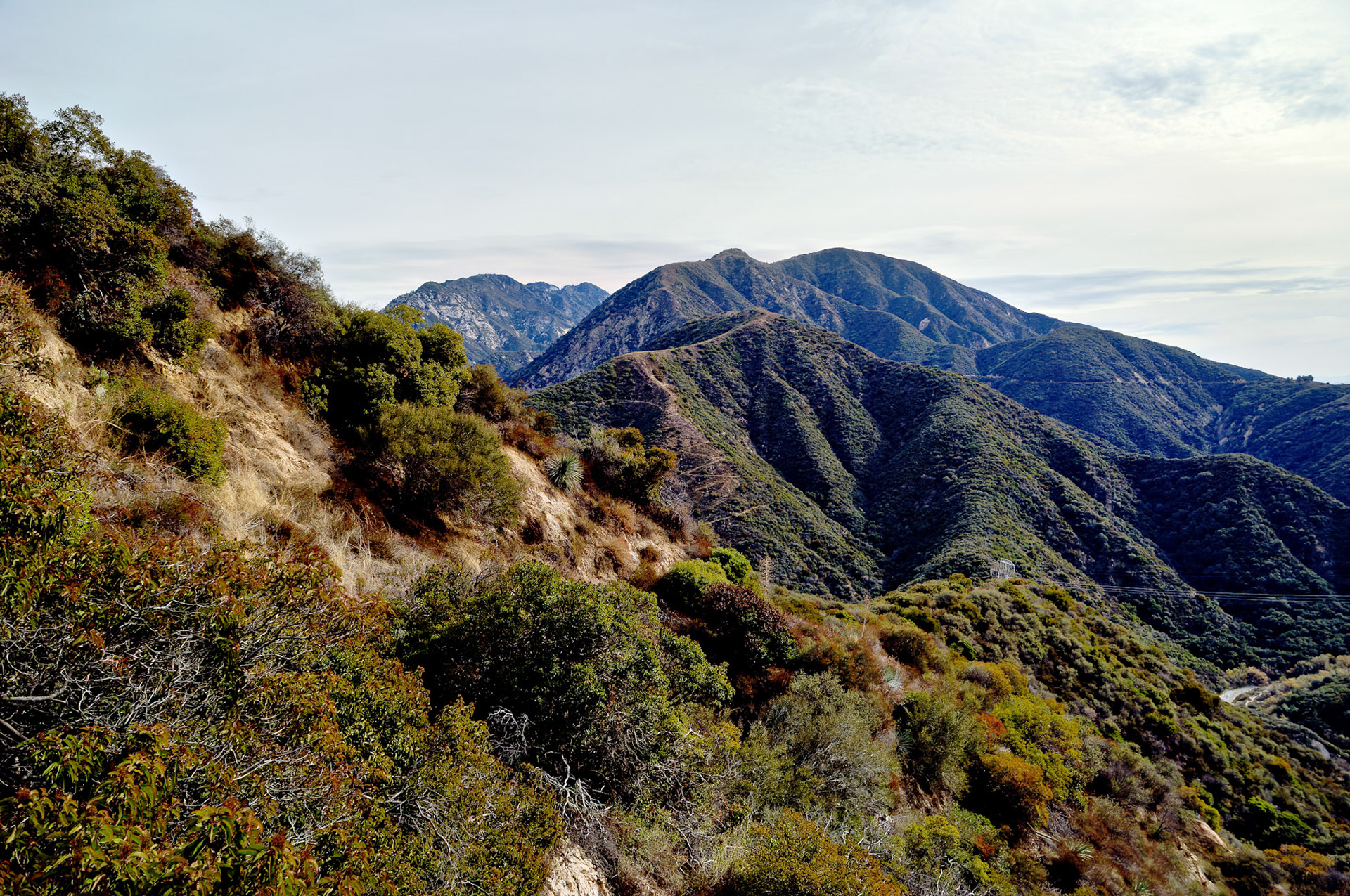 CA_LA_20051220_0220_PS