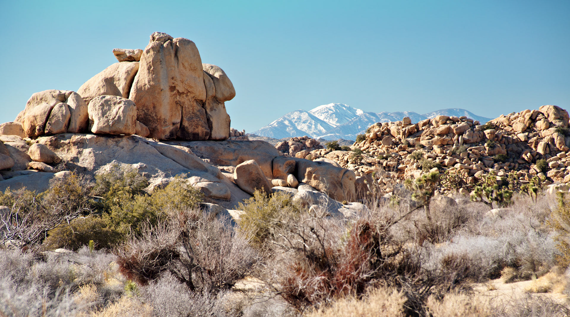 CA_PalmSprings_20090115_0252_PS