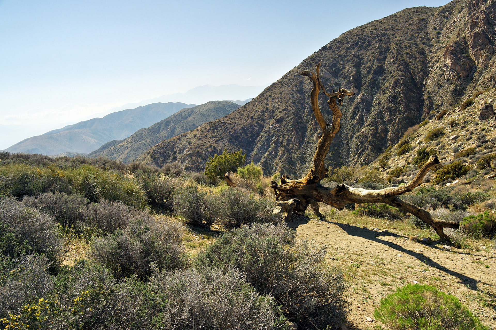 CA_LA_20030514_0065_PS.dng