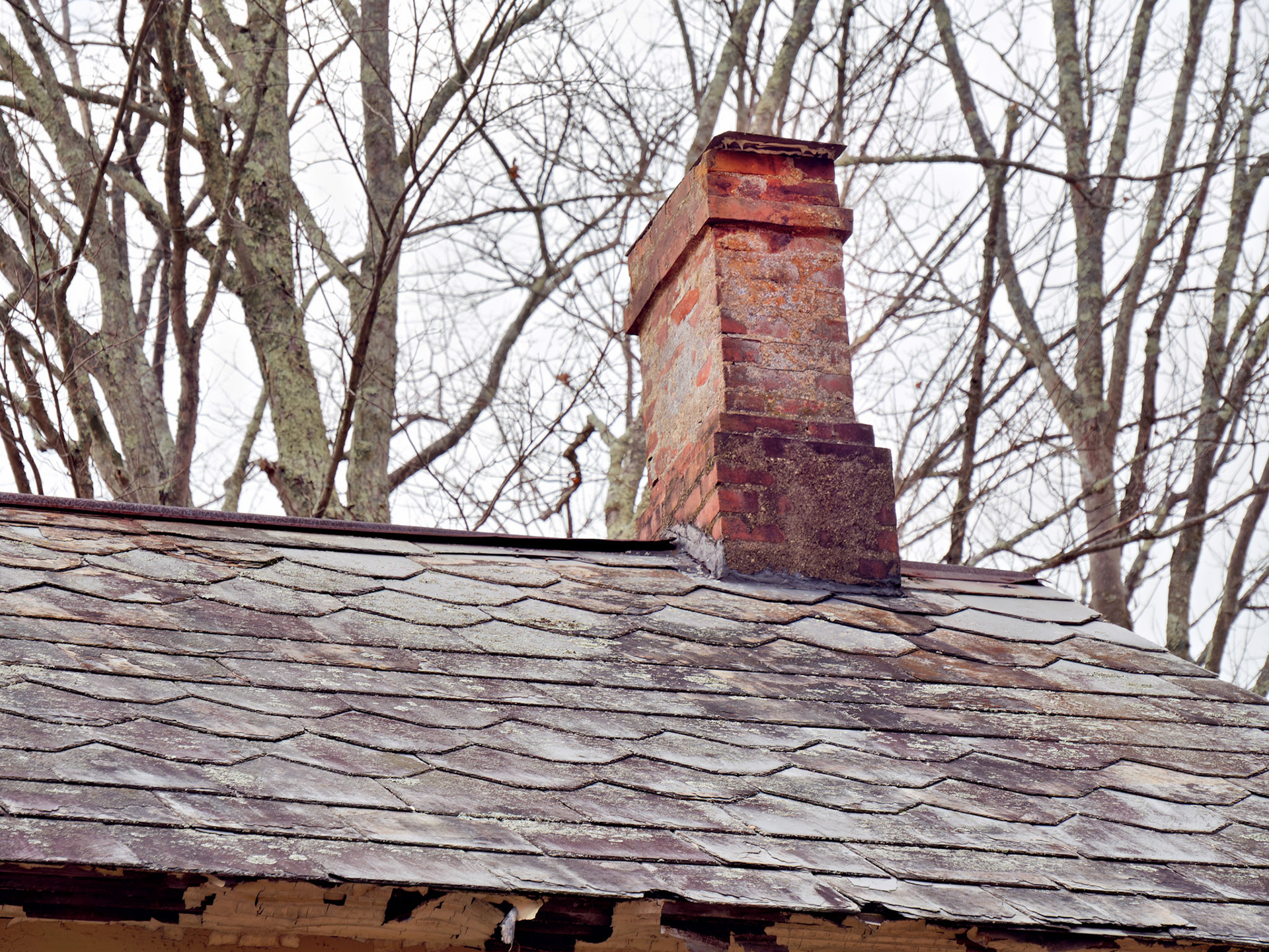 NJ_20151118_0767_PS.tif