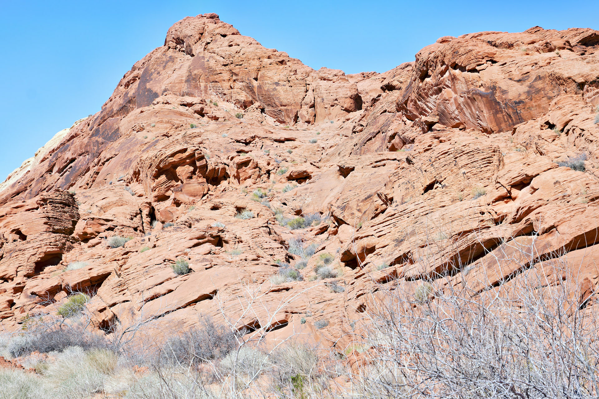 NV_Deserts_20120313_0121_PS