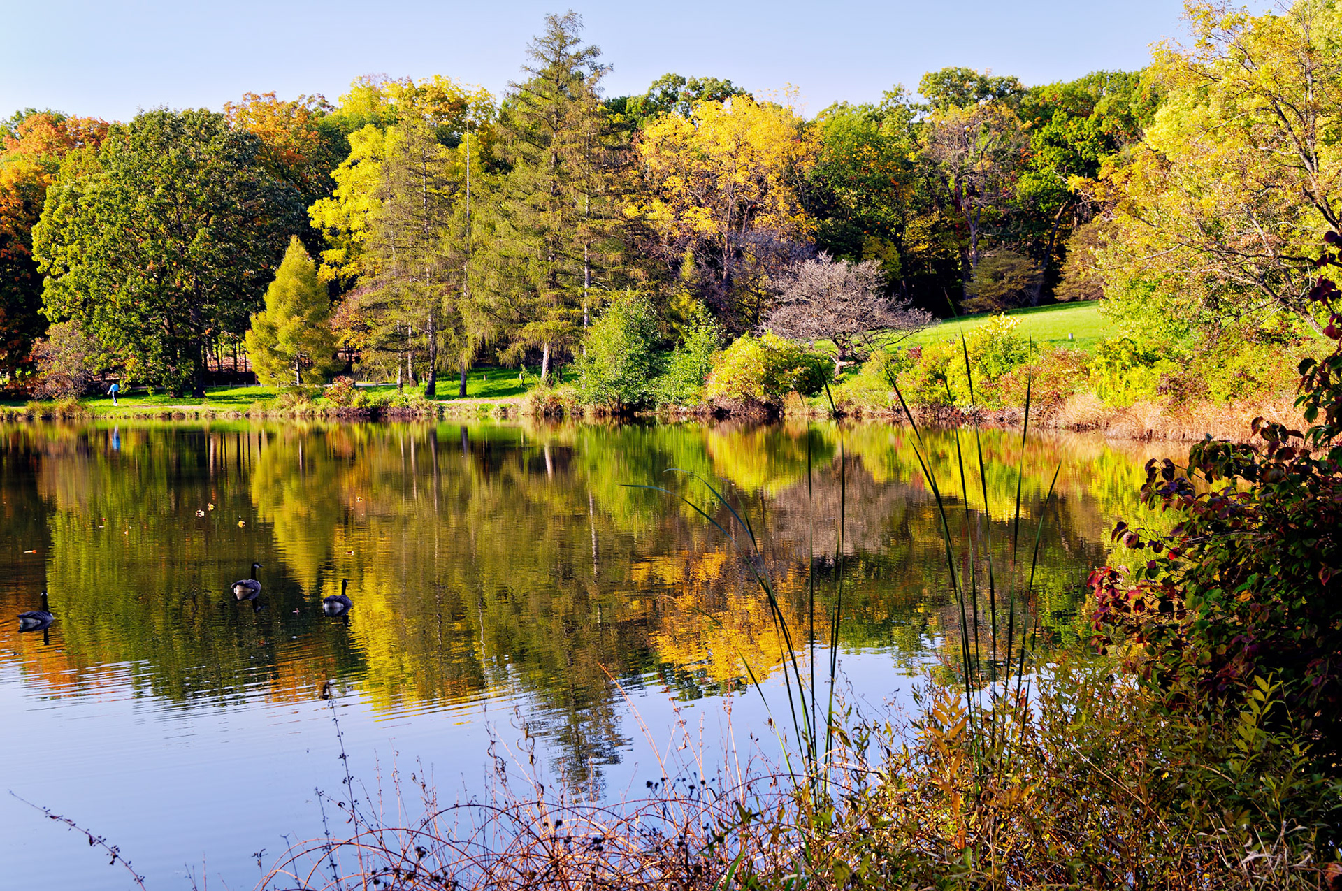 IL_Morton Arboretum_20081011_0316_PS
