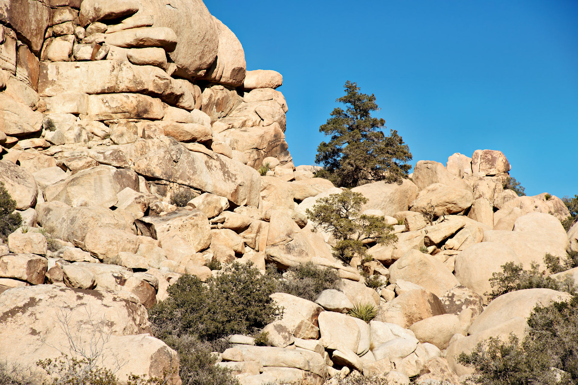 CA_PalmSprings_20090114_0191_PS