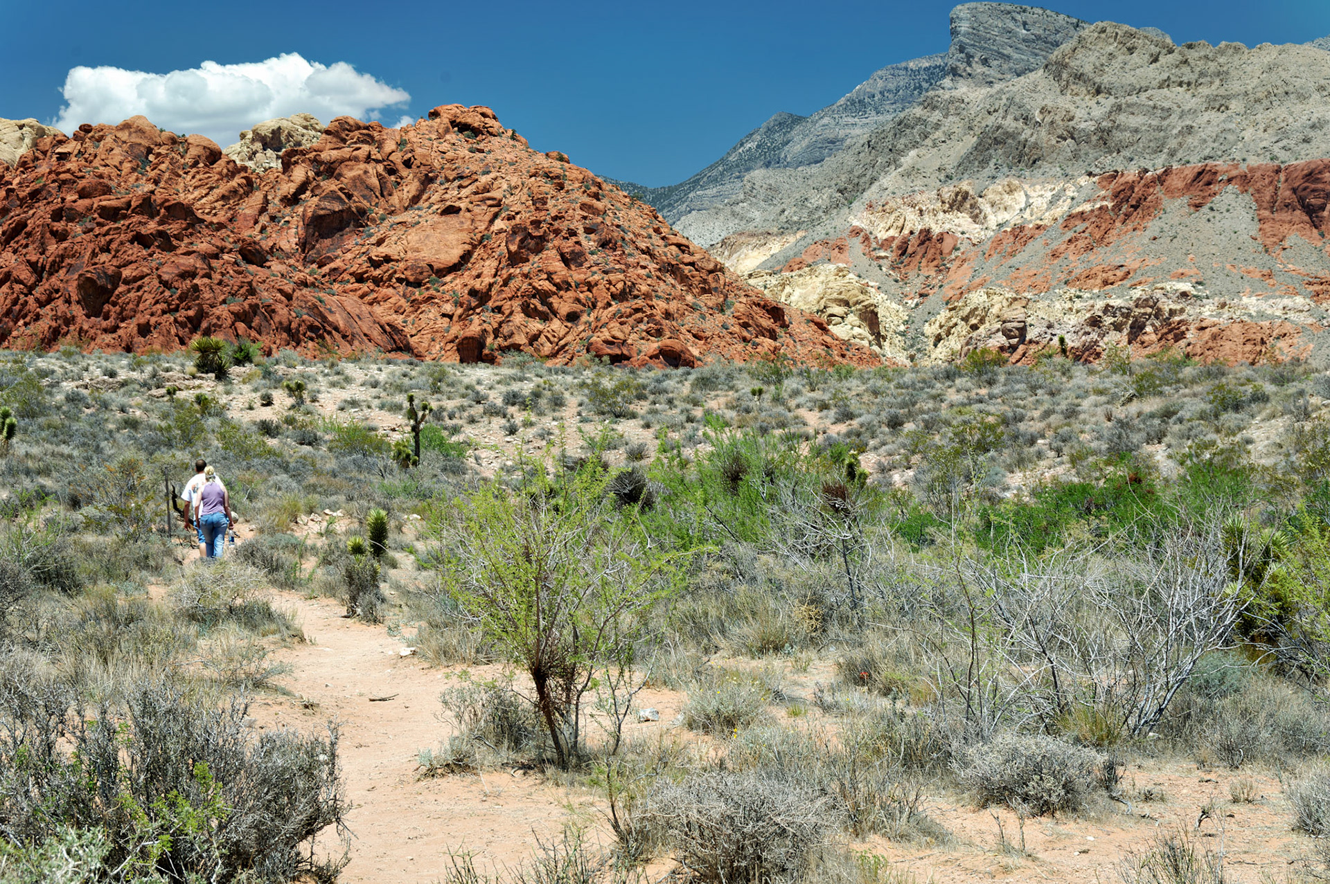 NV_Deserts_20070531_0011_PS.tif