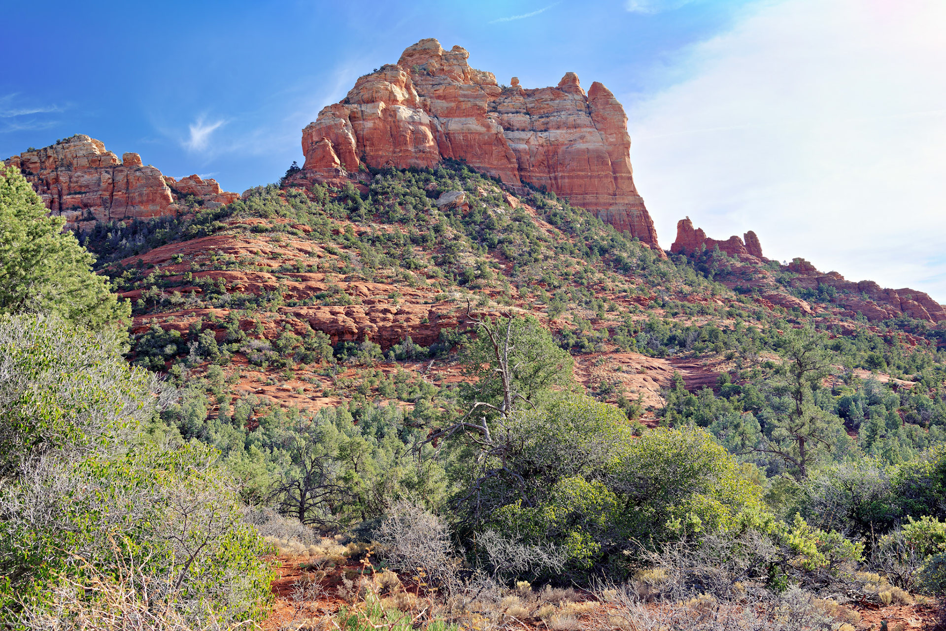 AZ_20121211_0483_PS.dng