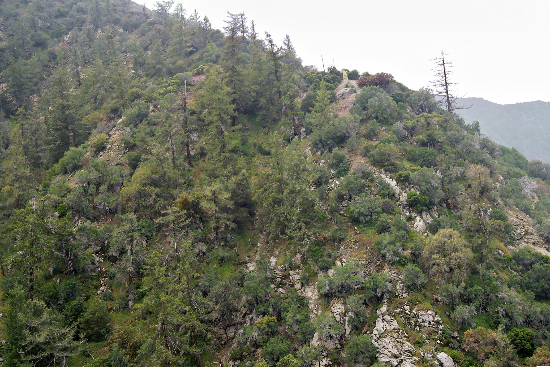 CA_LA_20030514_0054_PS