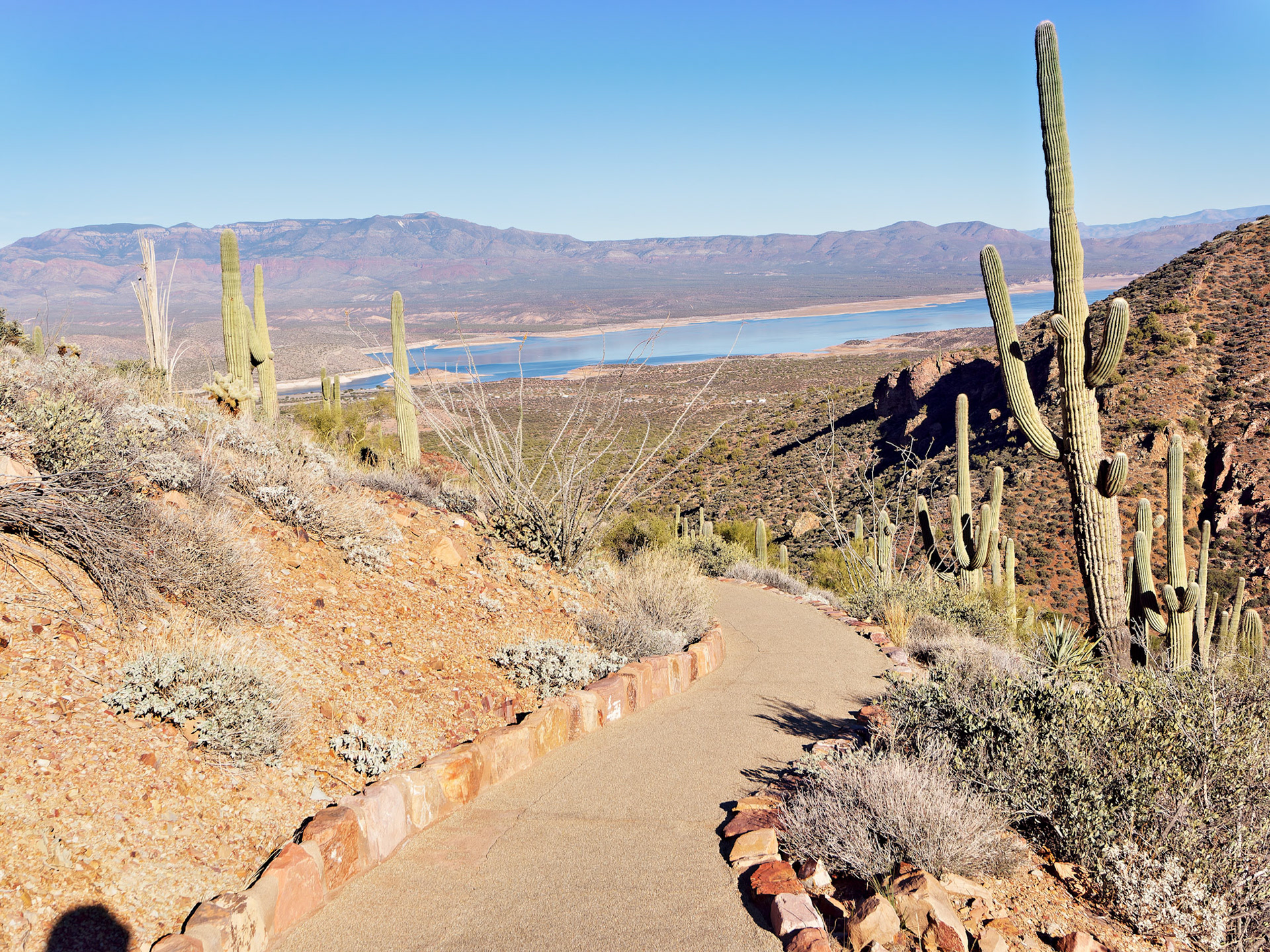 AZ_20121210_0707_PS