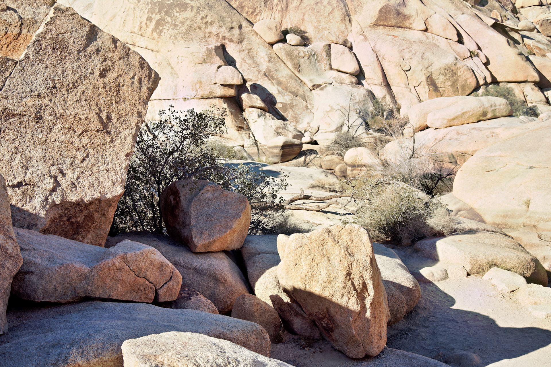 CA_PalmSprings_20090115_0234_PS