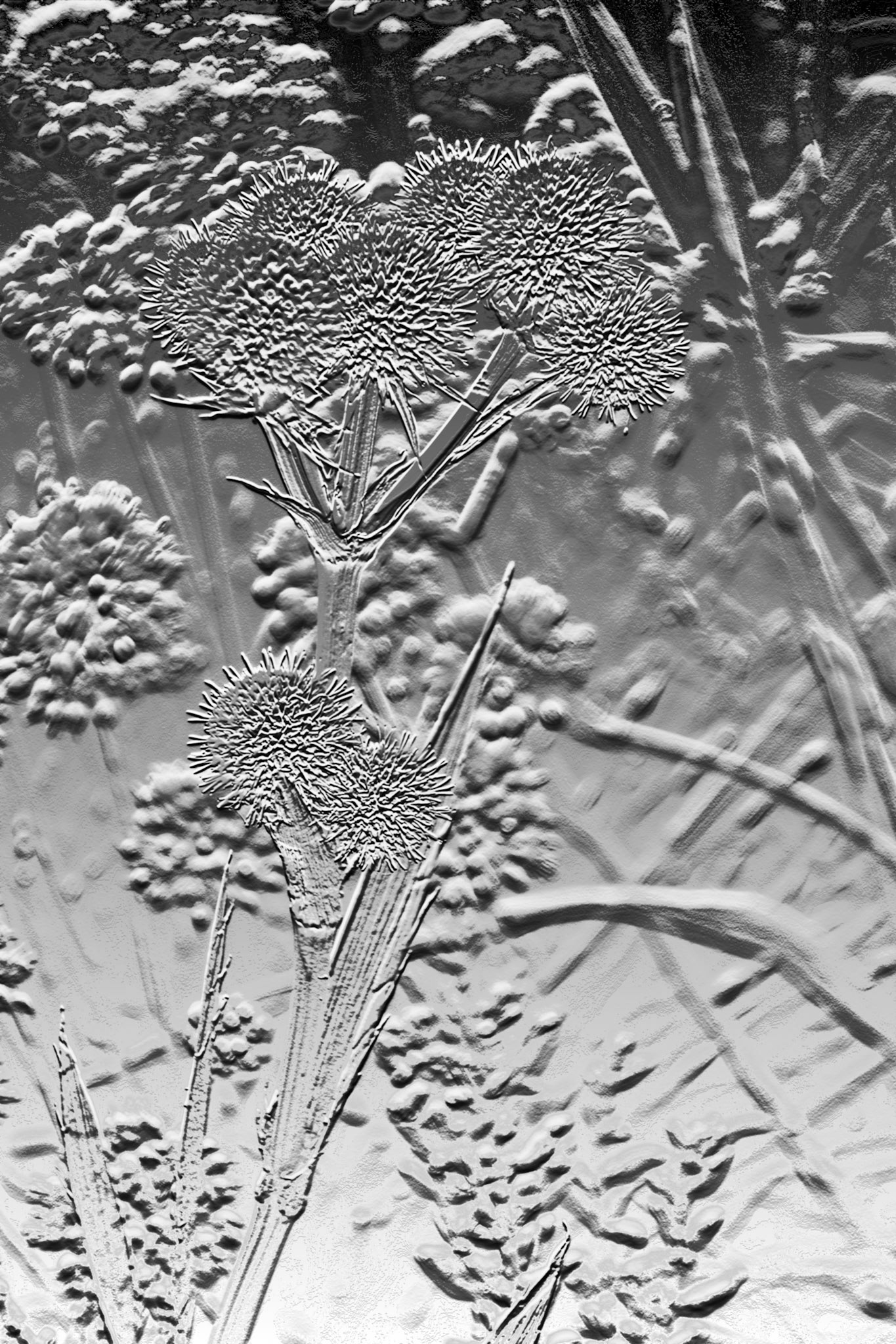 Painting__DSC0381-BasRelief