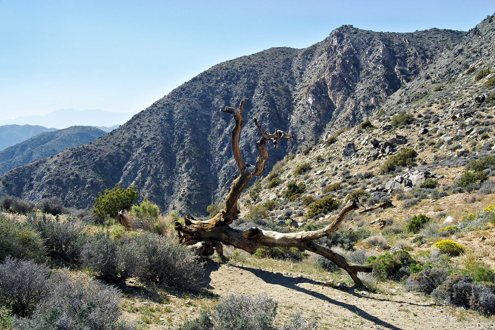 CA_LA_20030514_0074_PS