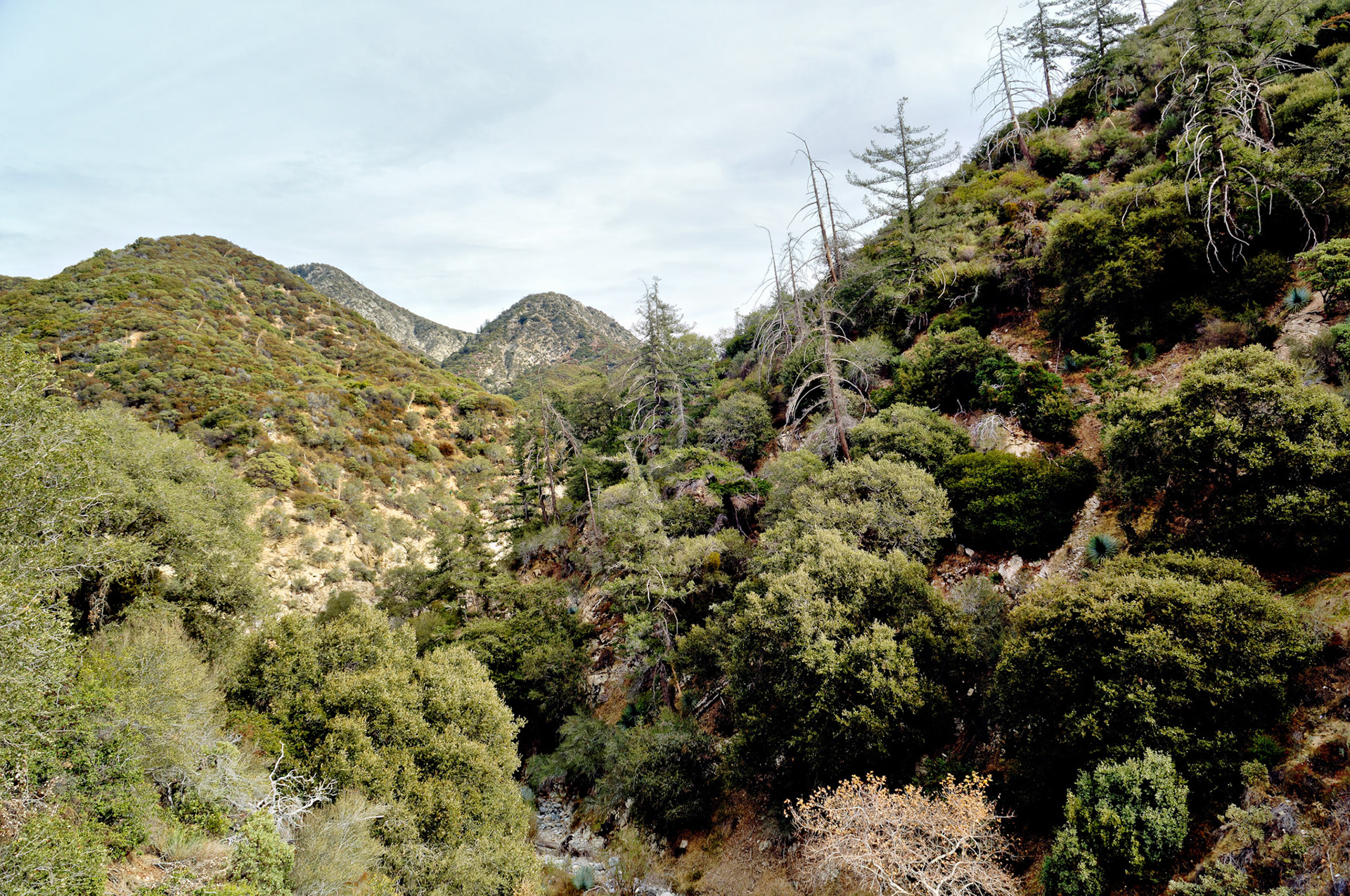 CA_LA_20051220_0260_PS