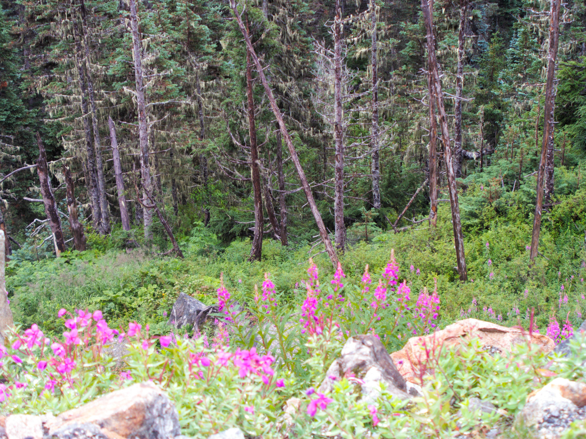 20030815_aa5283