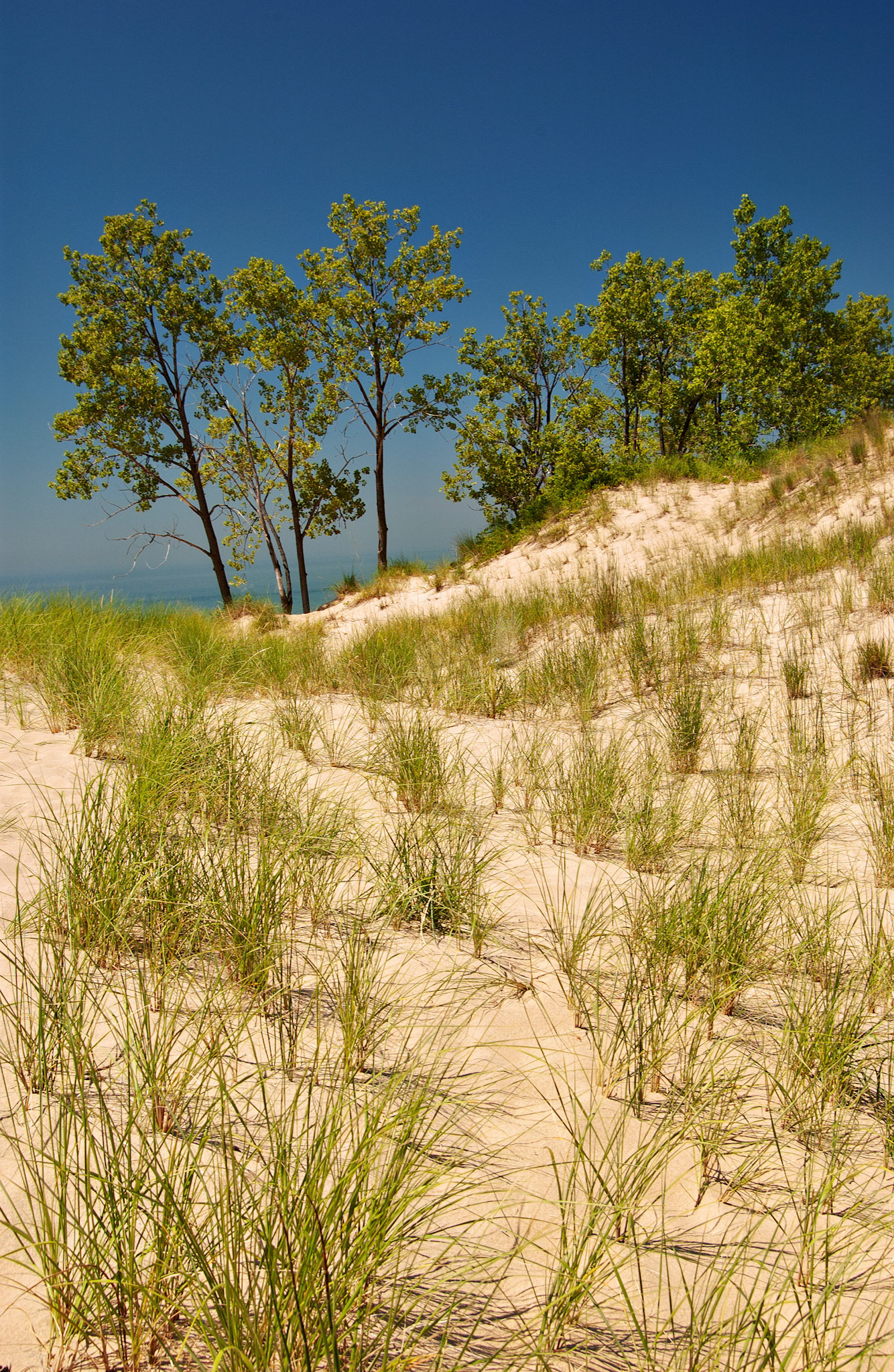 MI_New BuffaloArea_20020731_0011_PS