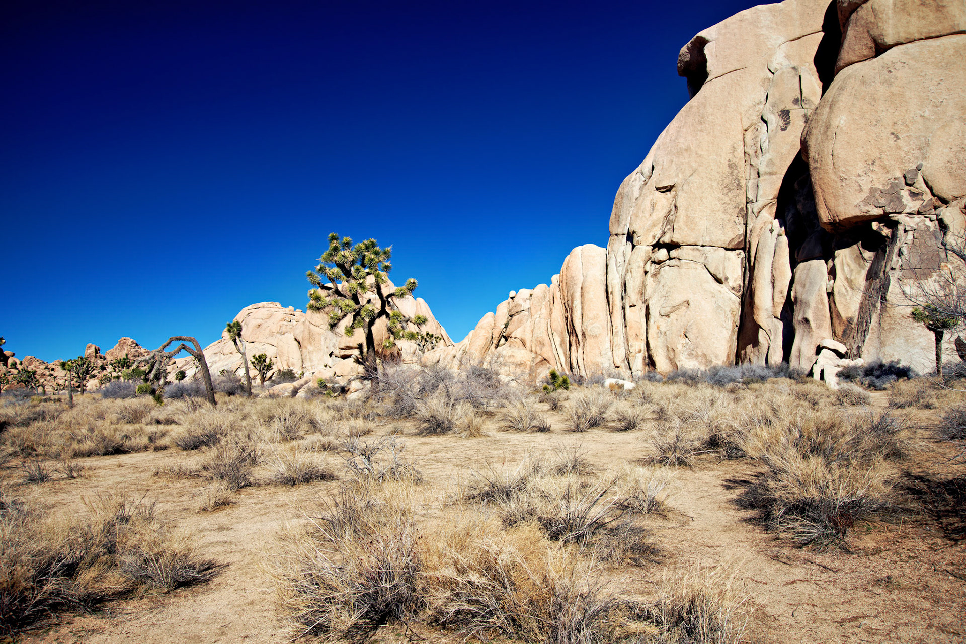 CA_PalmSprings_20090115_0214_PS