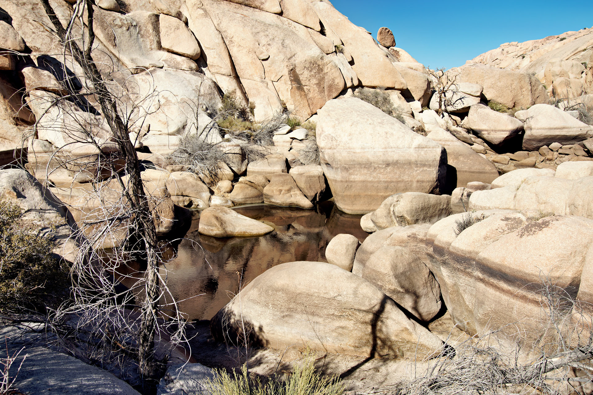 CA_PalmSprings_20090115_0235_PS