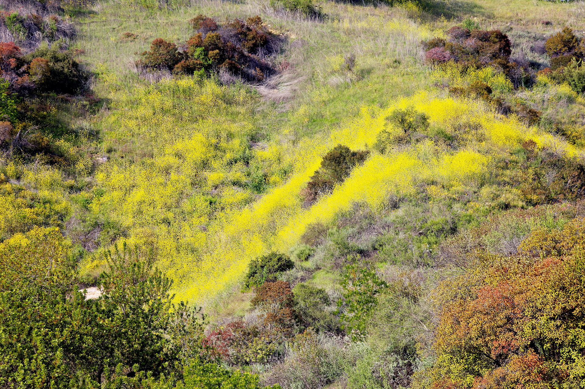 CA_LA_20060504_0335_PS