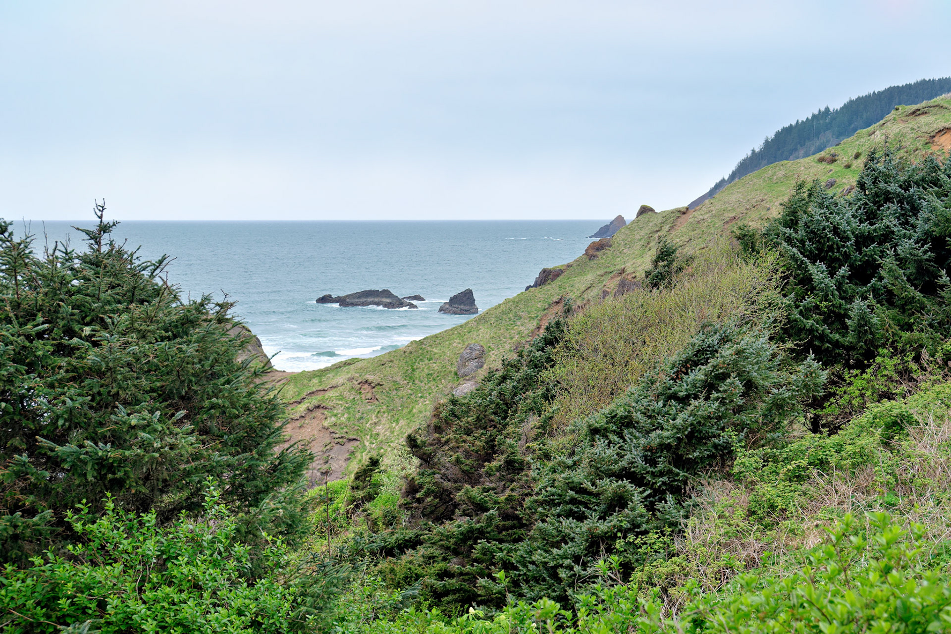 OR_Coast_20130418_0053_PS