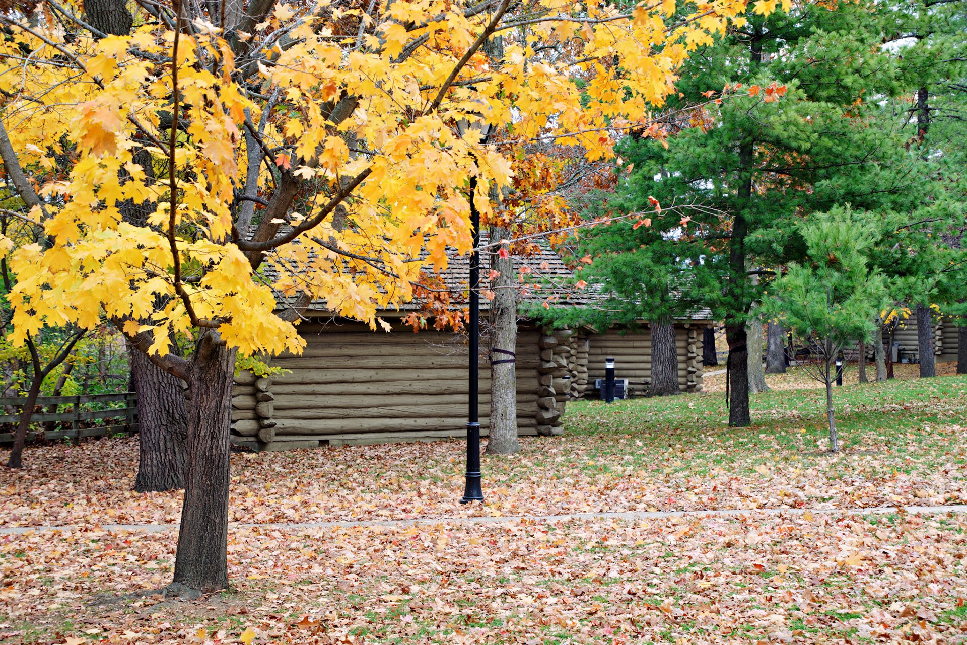 IL_Starved Rock_20141027_0080_PS.dng
