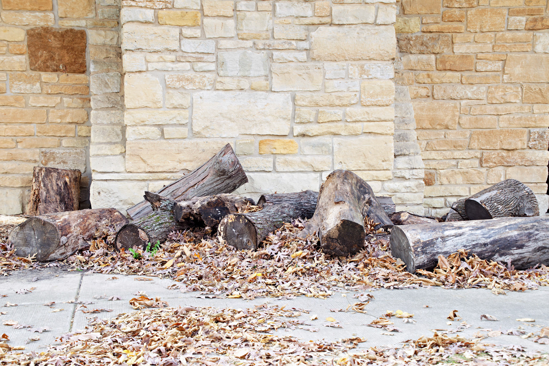 IL_Starved Rock_20141027_0098_PS.dng