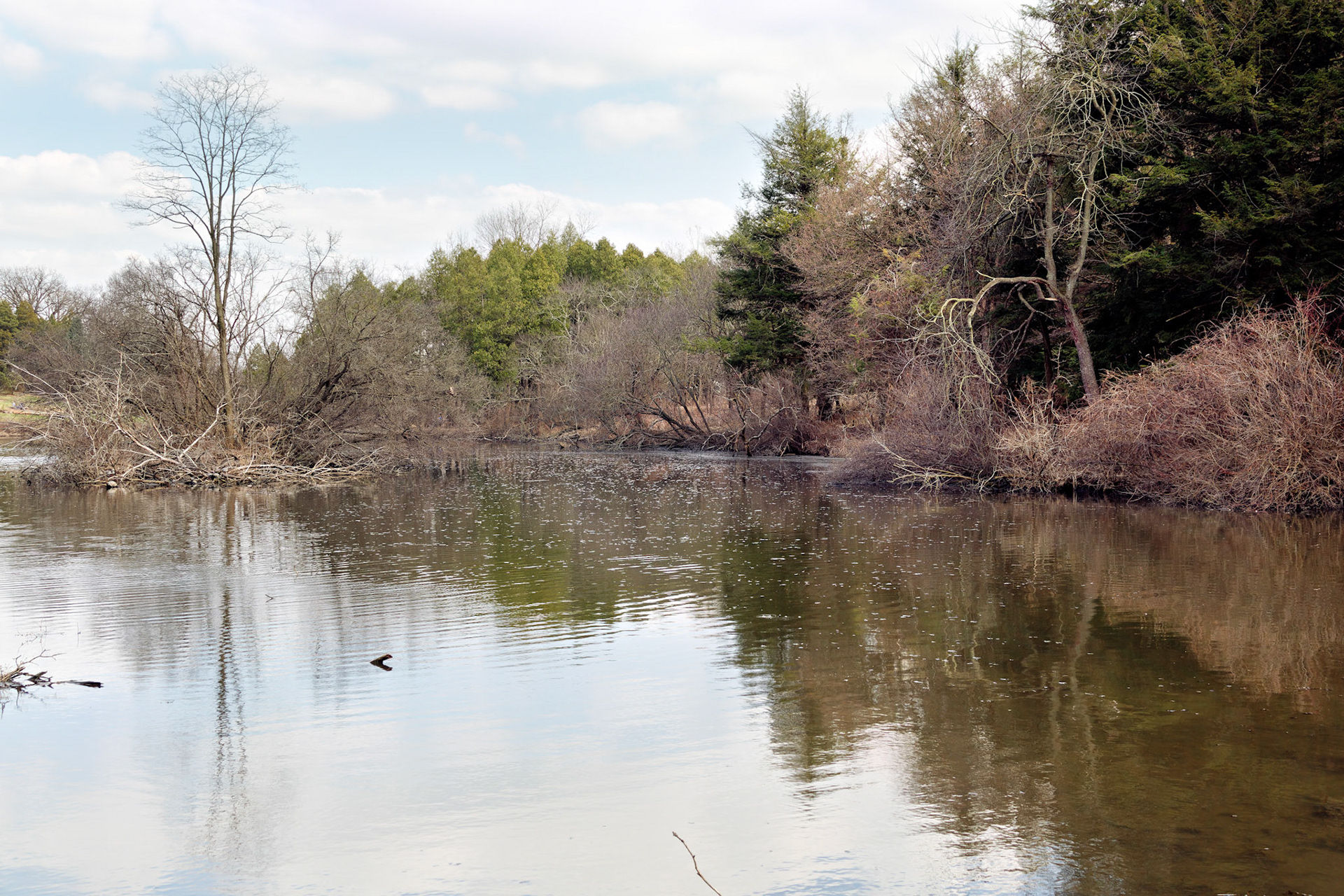 IL_Morton Arboretum_20190406_0881_PS