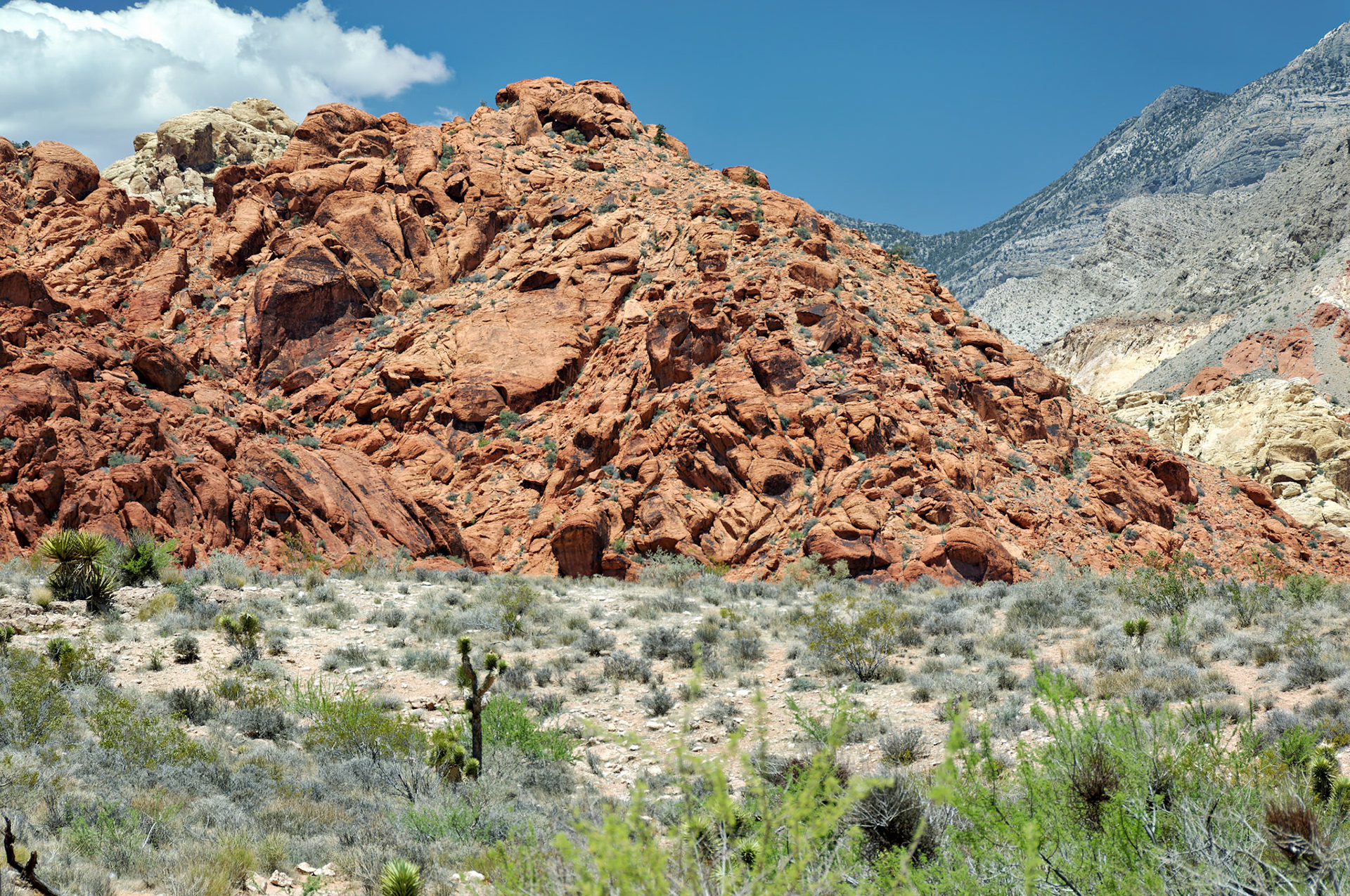 NV_20070531_0096_PS