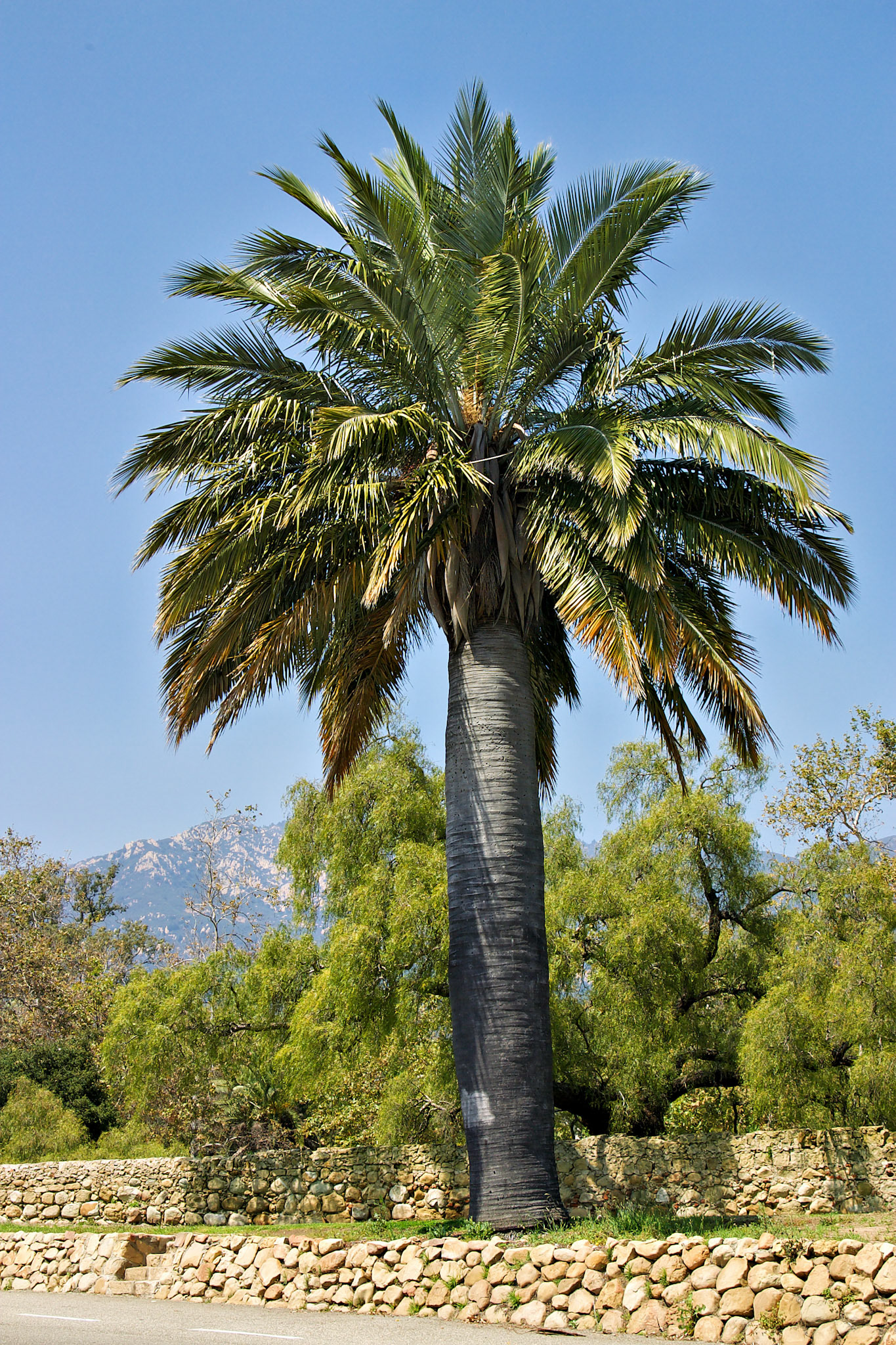 CA_LA_20030515_0082_PS