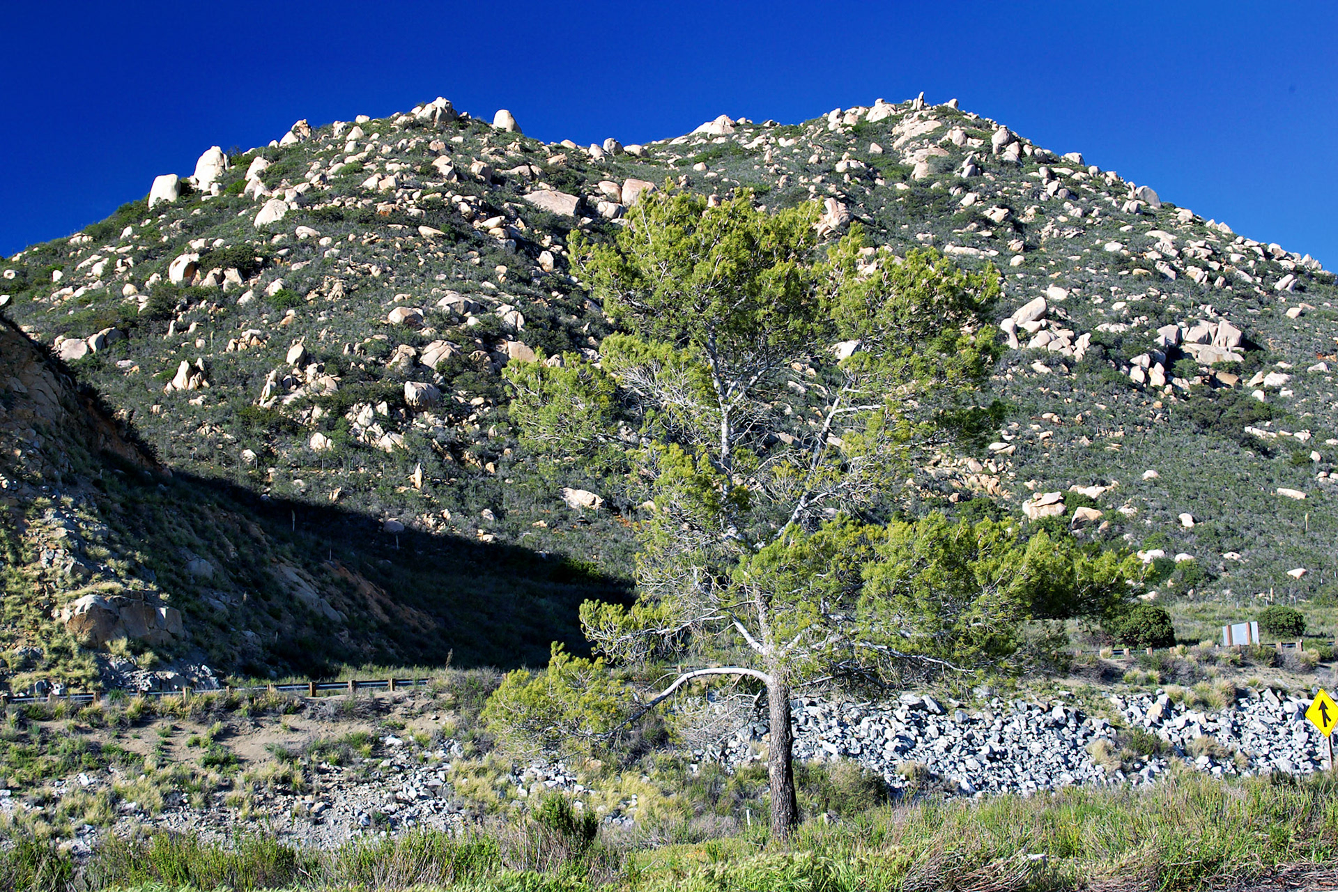 CA_LA_20030326_0001_PS