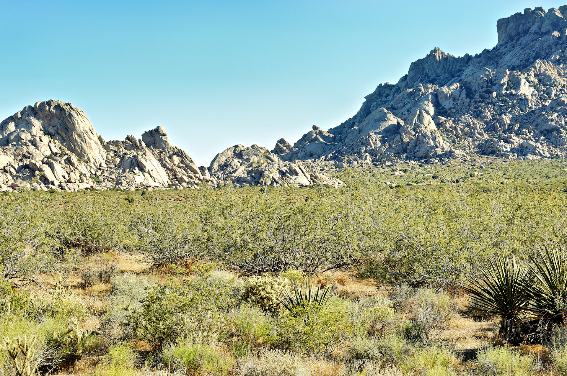 CA_20050614_0186_PS