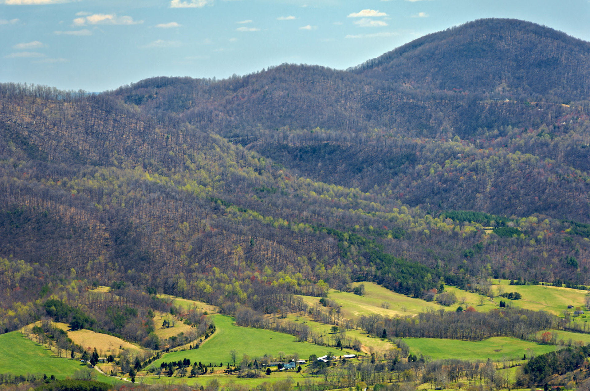 VA_BlueRidge_20060405_0086_PS.tif