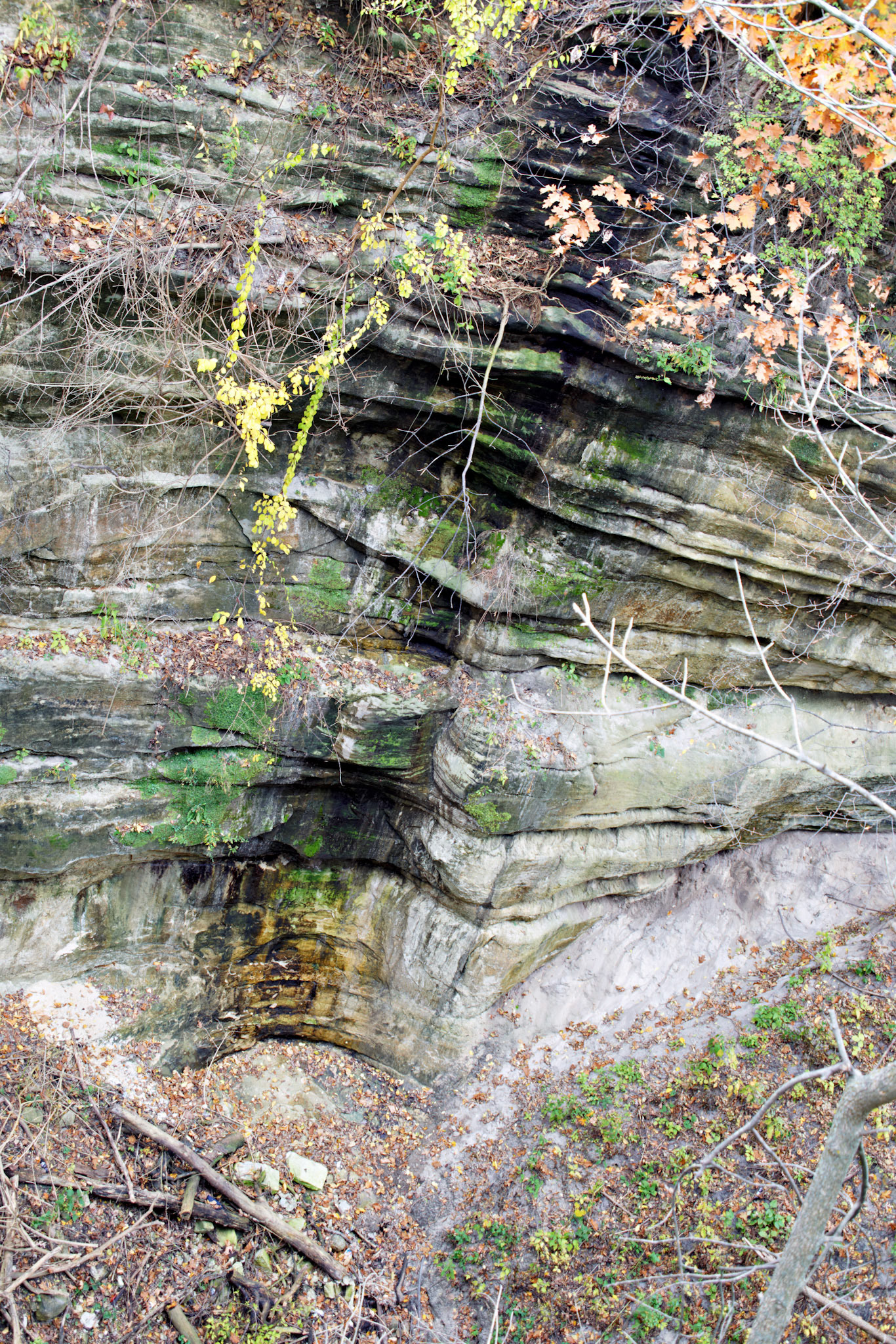 IL_Starved Rock_20141027_0079_PS.dng